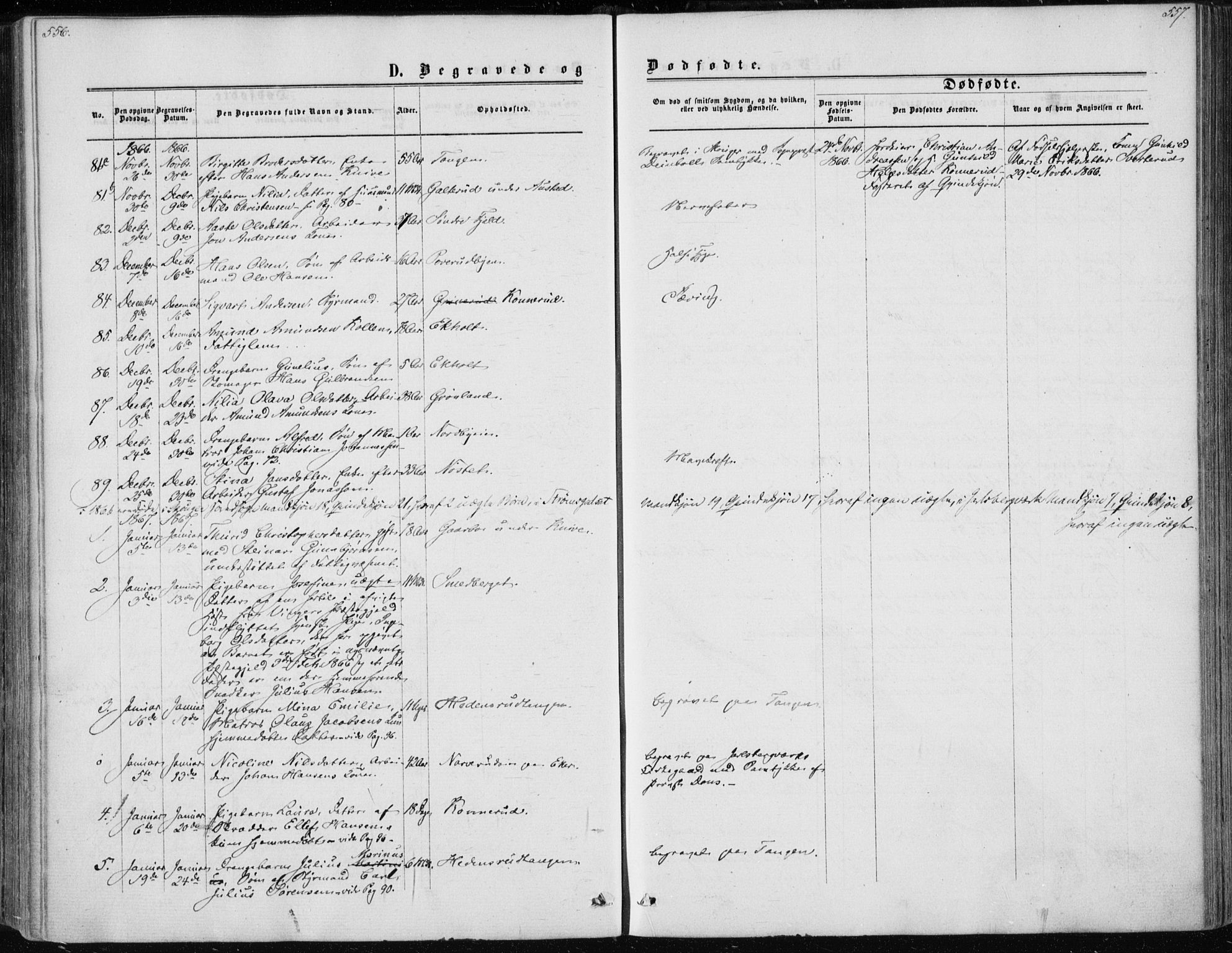 Skoger kirkebøker, AV/SAKO-A-59/F/Fa/L0004: Ministerialbok nr. I 4, 1862-1872, s. 556-557