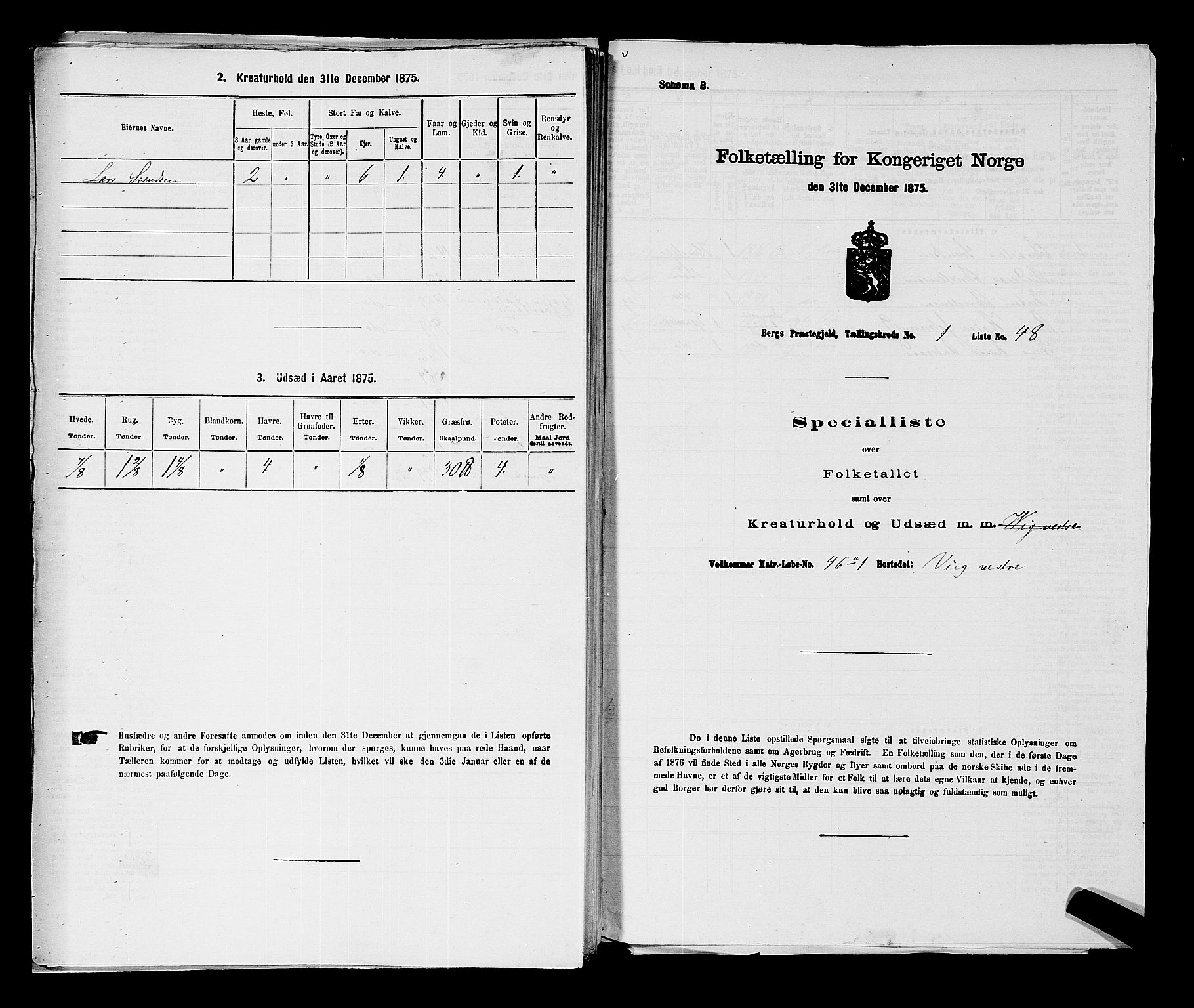 RA, Folketelling 1875 for 0116P Berg prestegjeld, 1875, s. 136