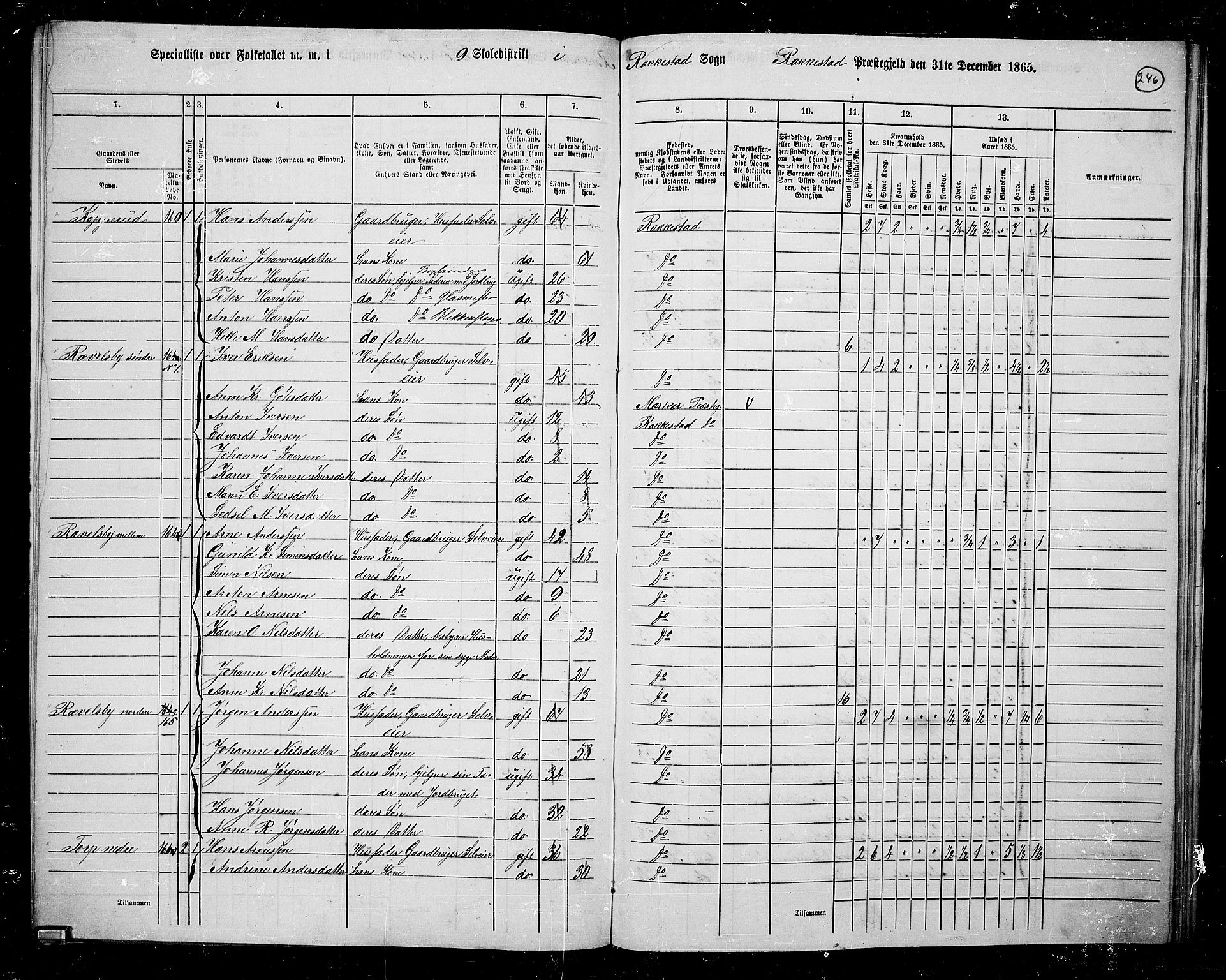 RA, Folketelling 1865 for 0128P Rakkestad prestegjeld, 1865, s. 235