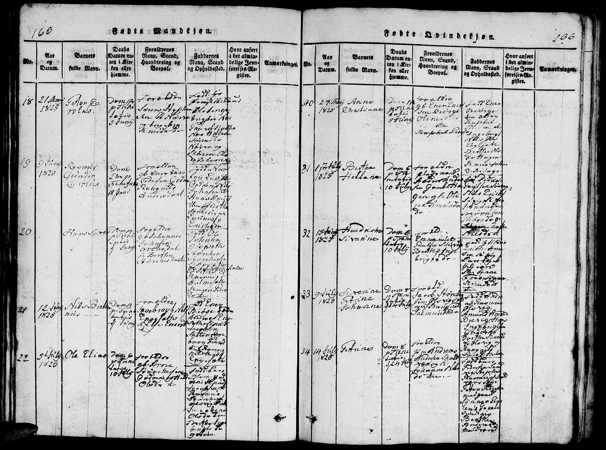 Ministerialprotokoller, klokkerbøker og fødselsregistre - Møre og Romsdal, AV/SAT-A-1454/528/L0423: Klokkerbok nr. 528C04, 1816-1827, s. 165-166