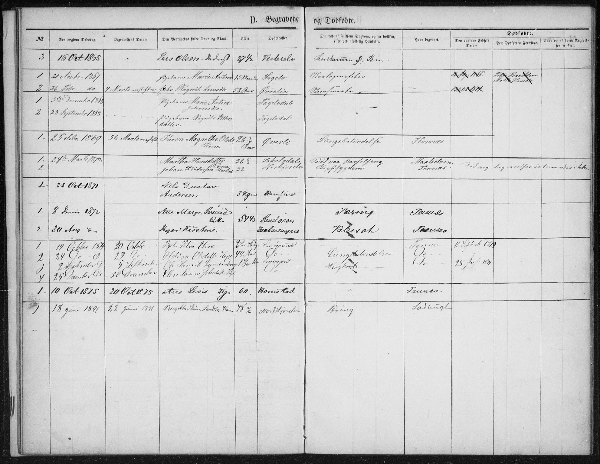 Fylkesmannen i Troms, SATØ/S-0001/A7.10.1/L1974: Dissenterprotokoll nr. TF 1974, 1856-1892