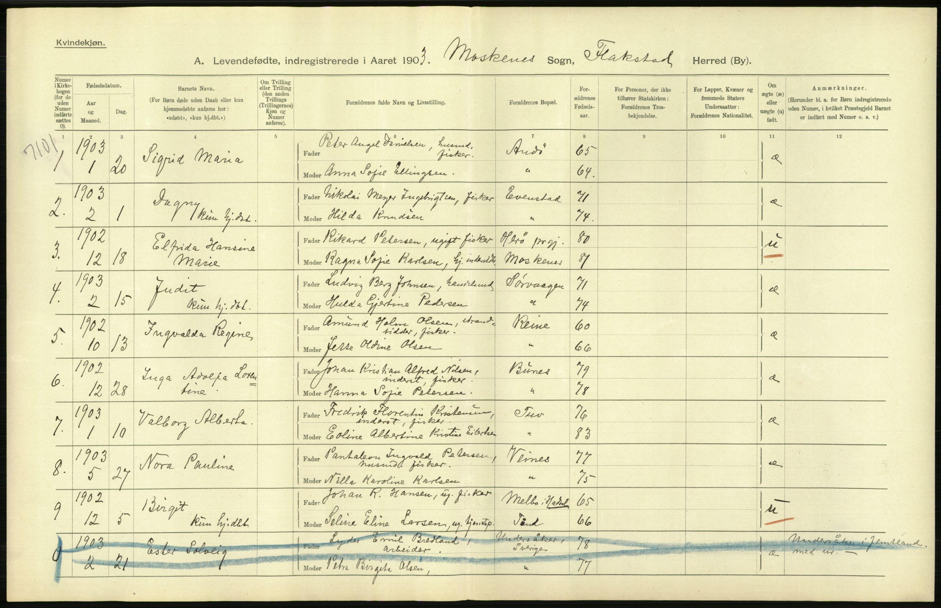 Statistisk sentralbyrå, Sosiodemografiske emner, Befolkning, AV/RA-S-2228/D/Df/Dfa/Dfaa/L0020: Nordlands amt: Fødte, gifte, døde., 1903, s. 2