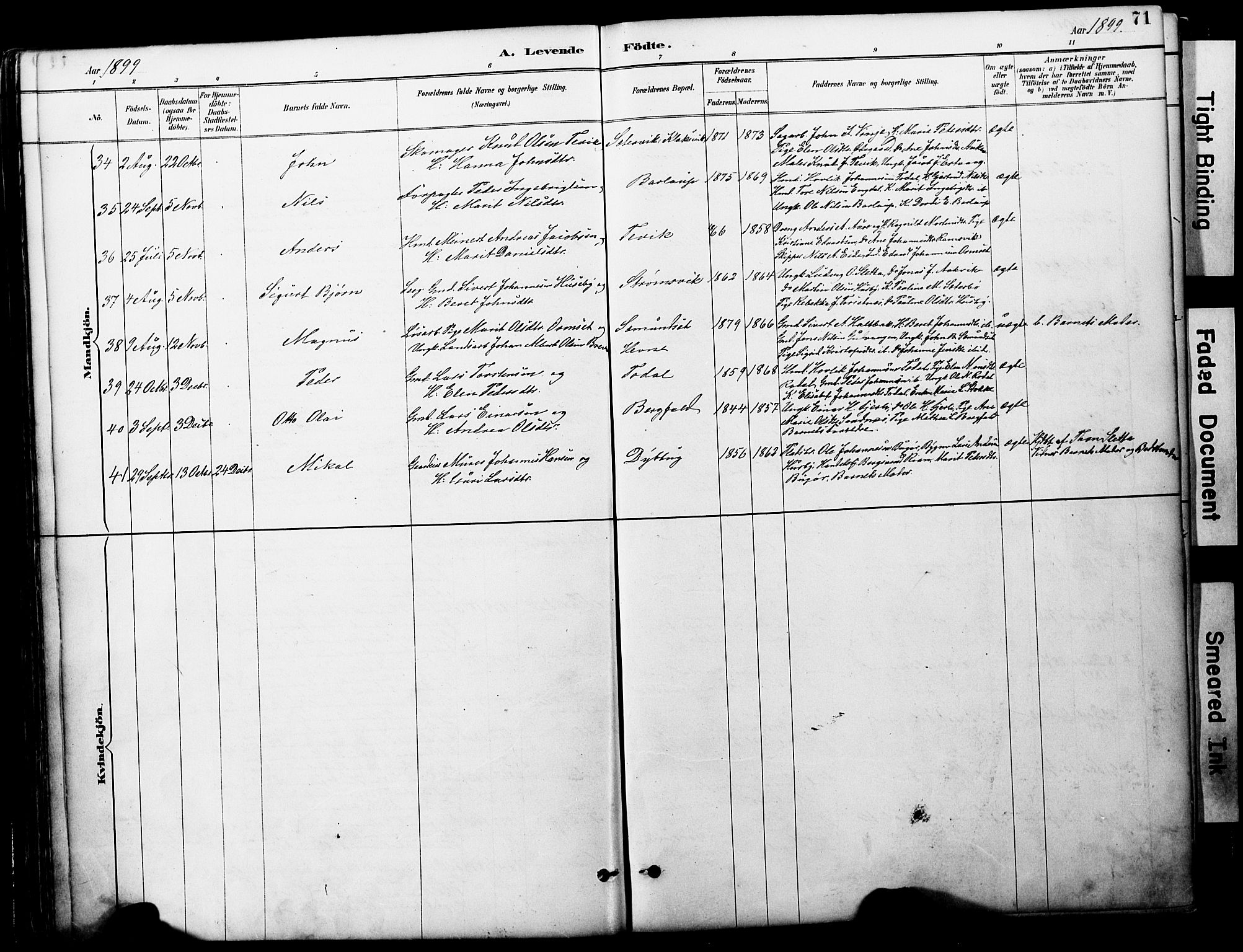 Ministerialprotokoller, klokkerbøker og fødselsregistre - Møre og Romsdal, AV/SAT-A-1454/578/L0907: Ministerialbok nr. 578A06, 1887-1904, s. 71