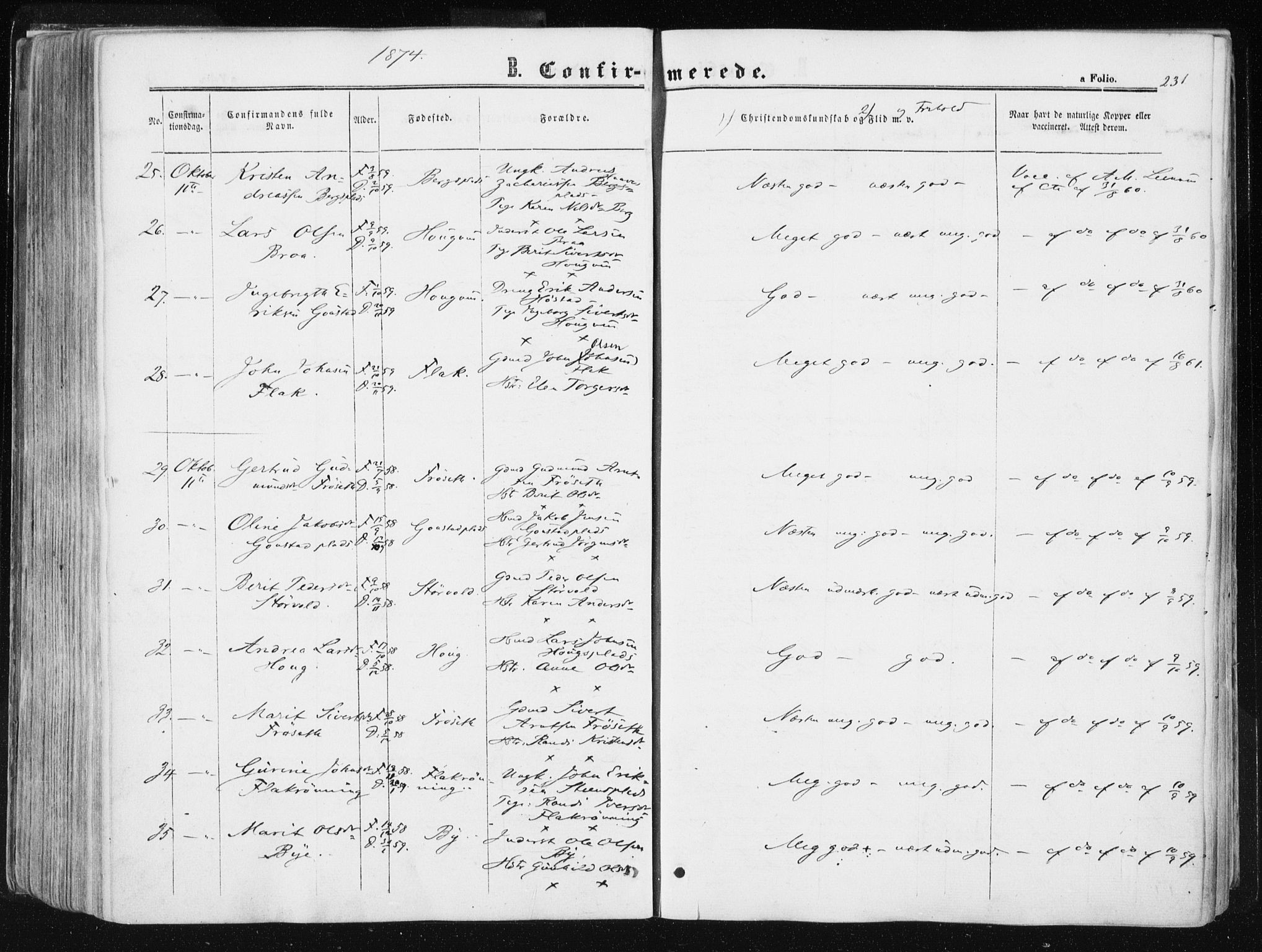 Ministerialprotokoller, klokkerbøker og fødselsregistre - Sør-Trøndelag, SAT/A-1456/612/L0377: Ministerialbok nr. 612A09, 1859-1877, s. 231