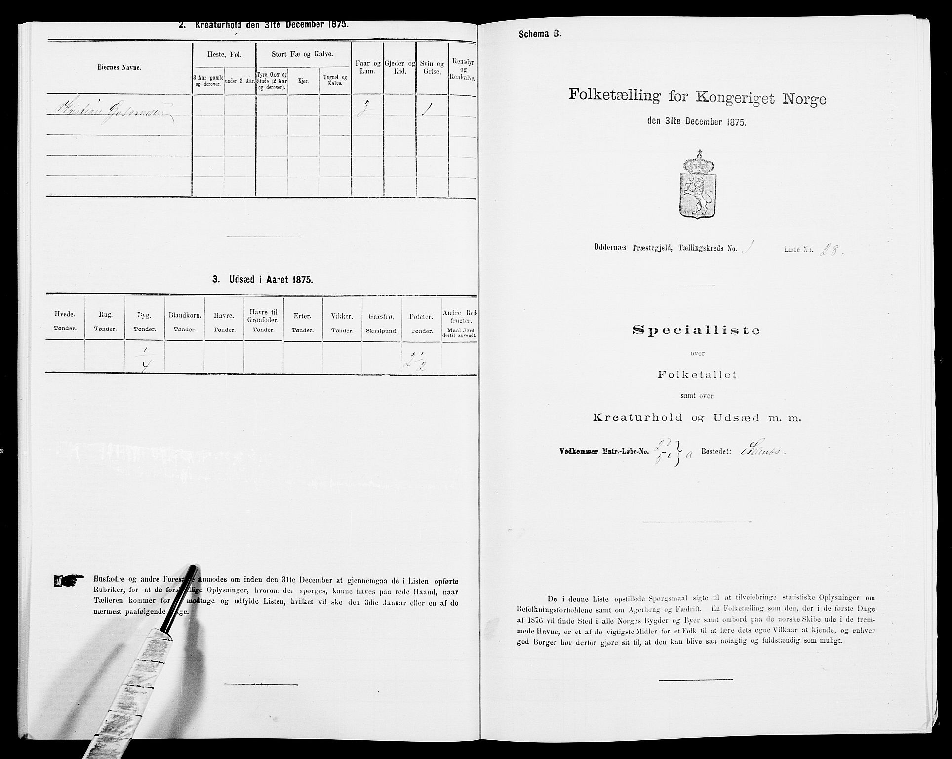 SAK, Folketelling 1875 for 1012P Oddernes prestegjeld, 1875, s. 113