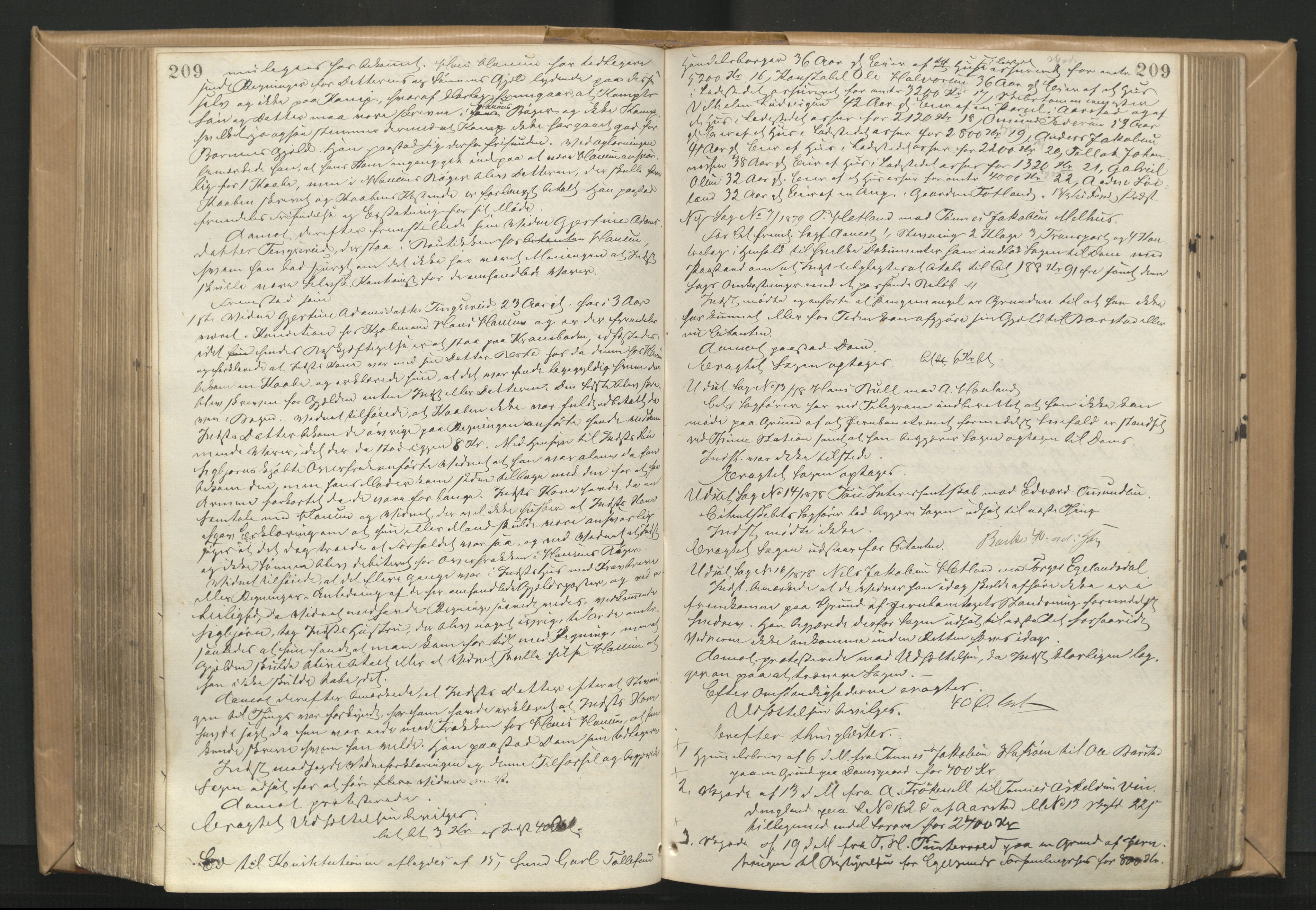Dalane sorenskriveri, AV/SAST-A-100309/001/3/30/30BA/L0002: TINGBOK, 1875-1882, s. 209