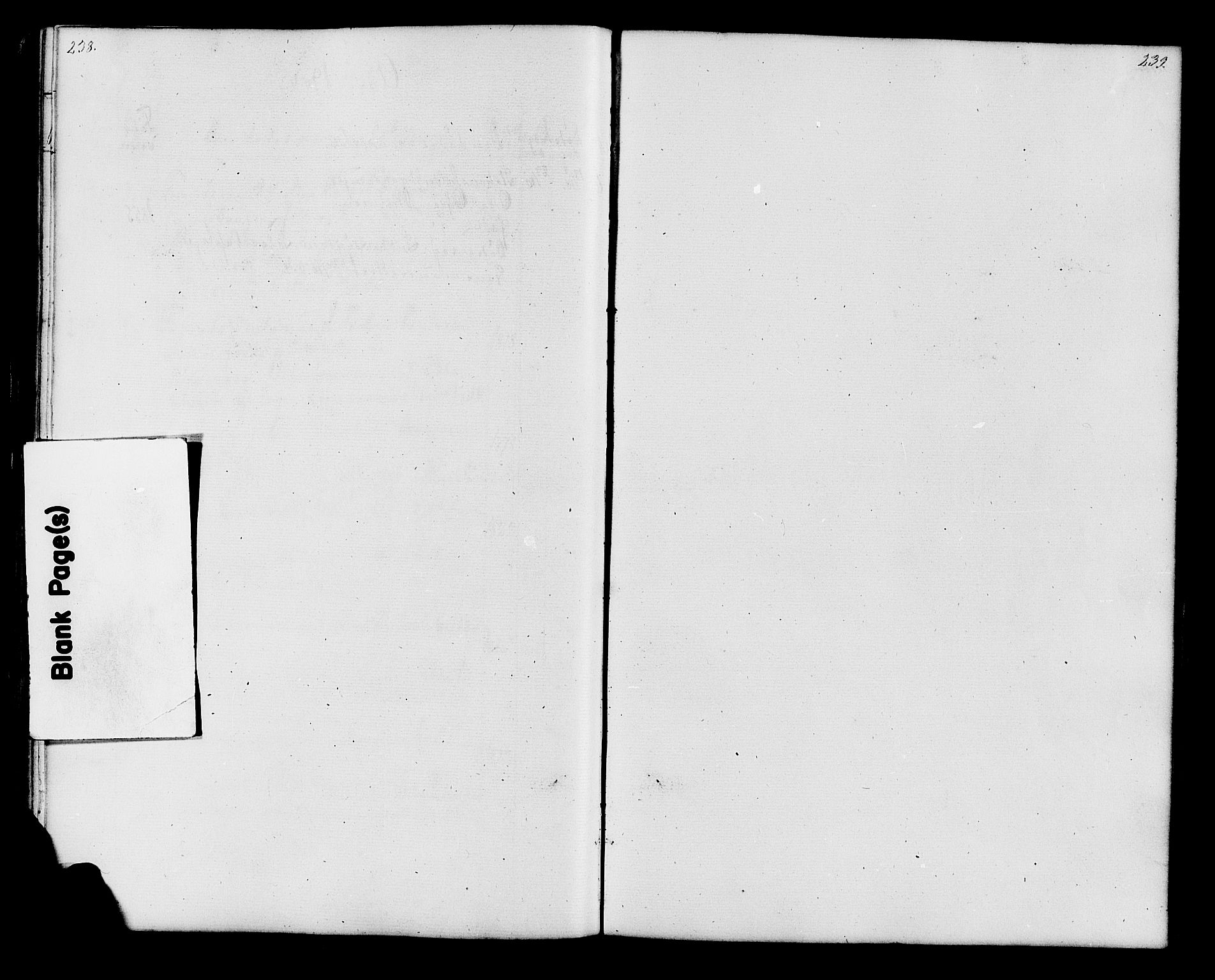 Lesja prestekontor, SAH/PREST-068/H/Ha/Hab/L0006: Klokkerbok nr. 6, 1871-1904, s. 238-239