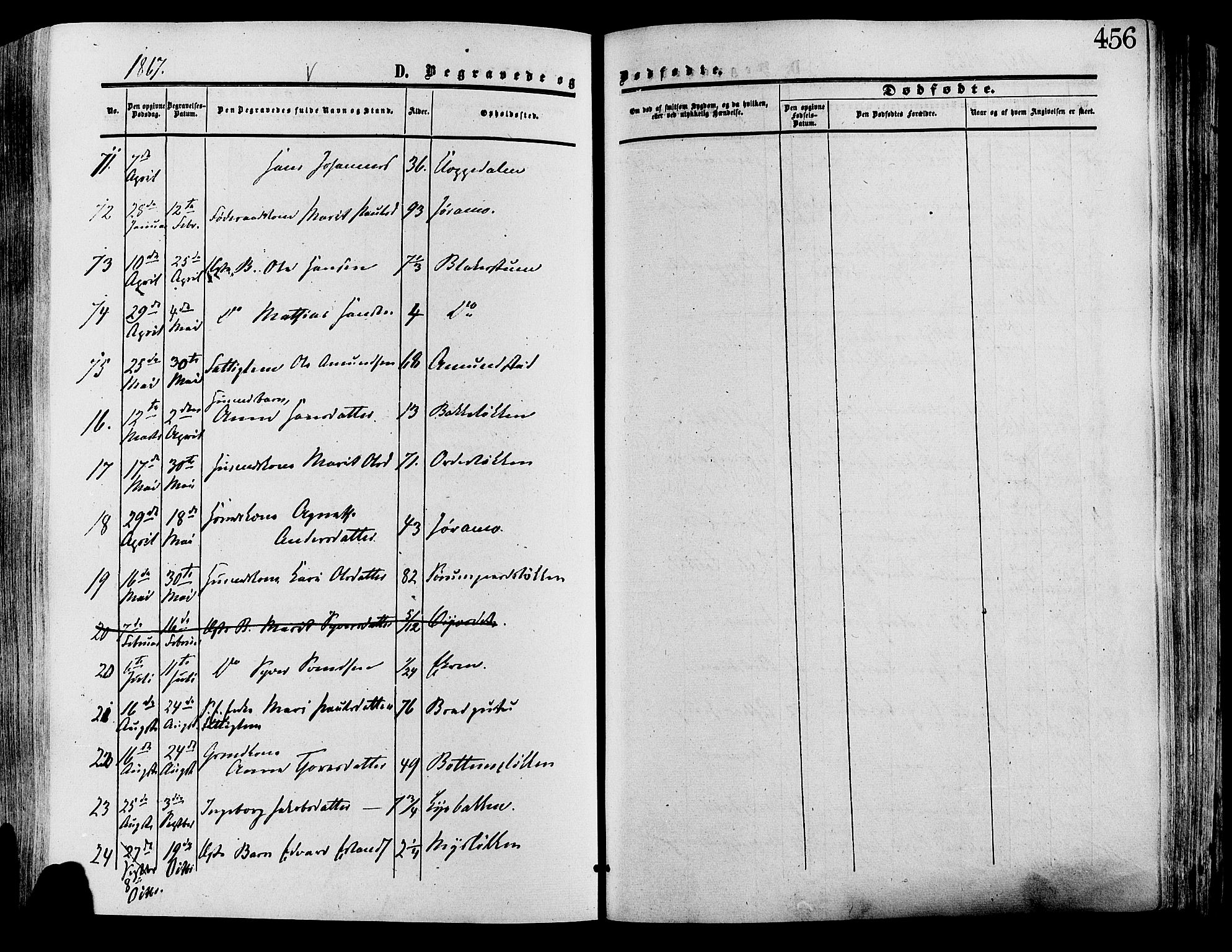 Lesja prestekontor, AV/SAH-PREST-068/H/Ha/Haa/L0008: Ministerialbok nr. 8, 1854-1880, s. 456
