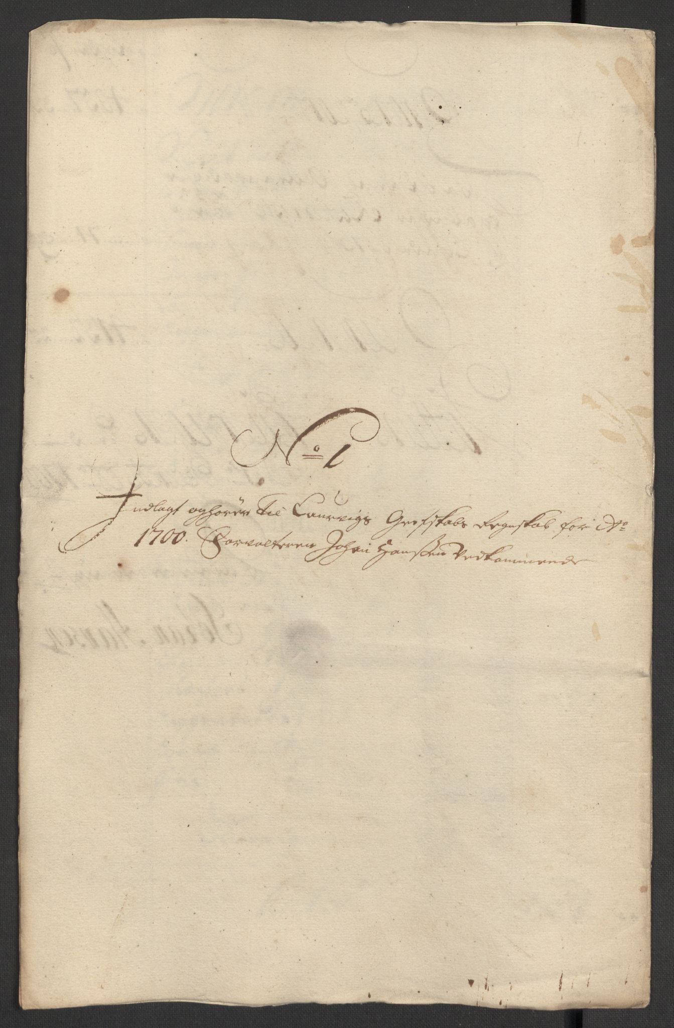 Rentekammeret inntil 1814, Reviderte regnskaper, Fogderegnskap, RA/EA-4092/R33/L1976: Fogderegnskap Larvik grevskap, 1698-1701, s. 194