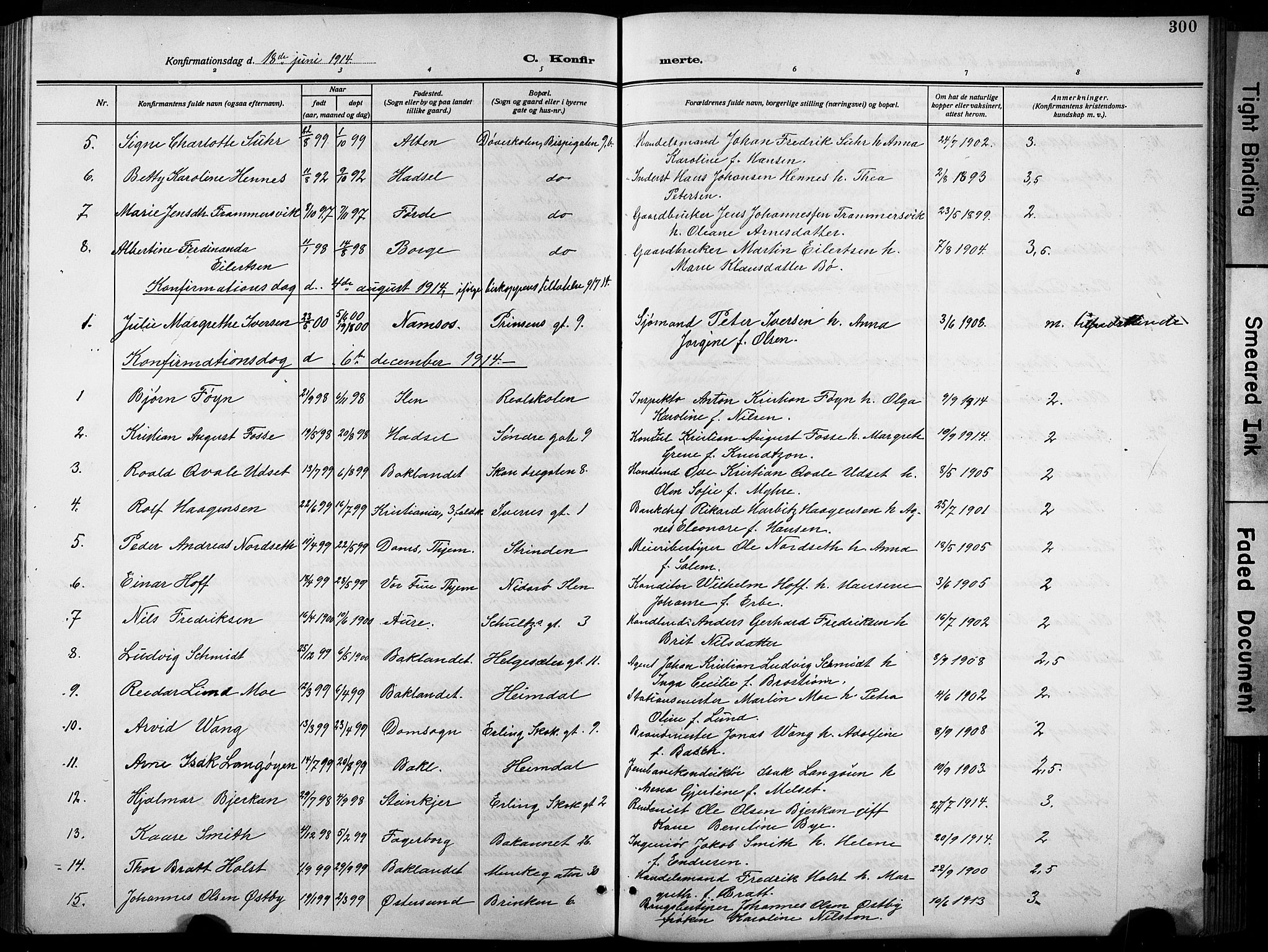 Ministerialprotokoller, klokkerbøker og fødselsregistre - Sør-Trøndelag, AV/SAT-A-1456/601/L0096: Klokkerbok nr. 601C14, 1911-1931, s. 300