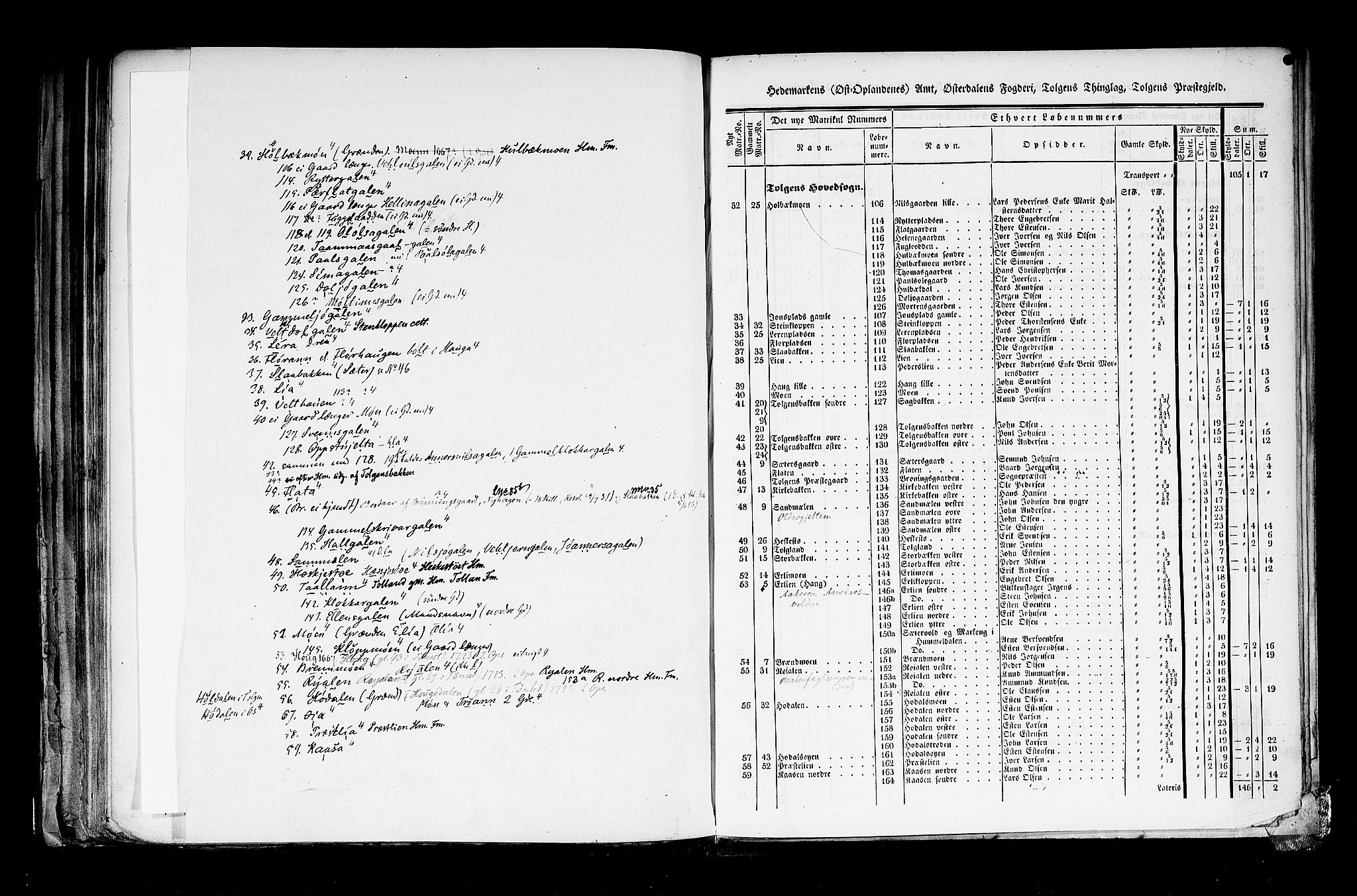 Rygh, AV/RA-PA-0034/F/Fb/L0003: Matrikkelen for 1838 - Hedemarken amt (Hedmark fylke), 1838