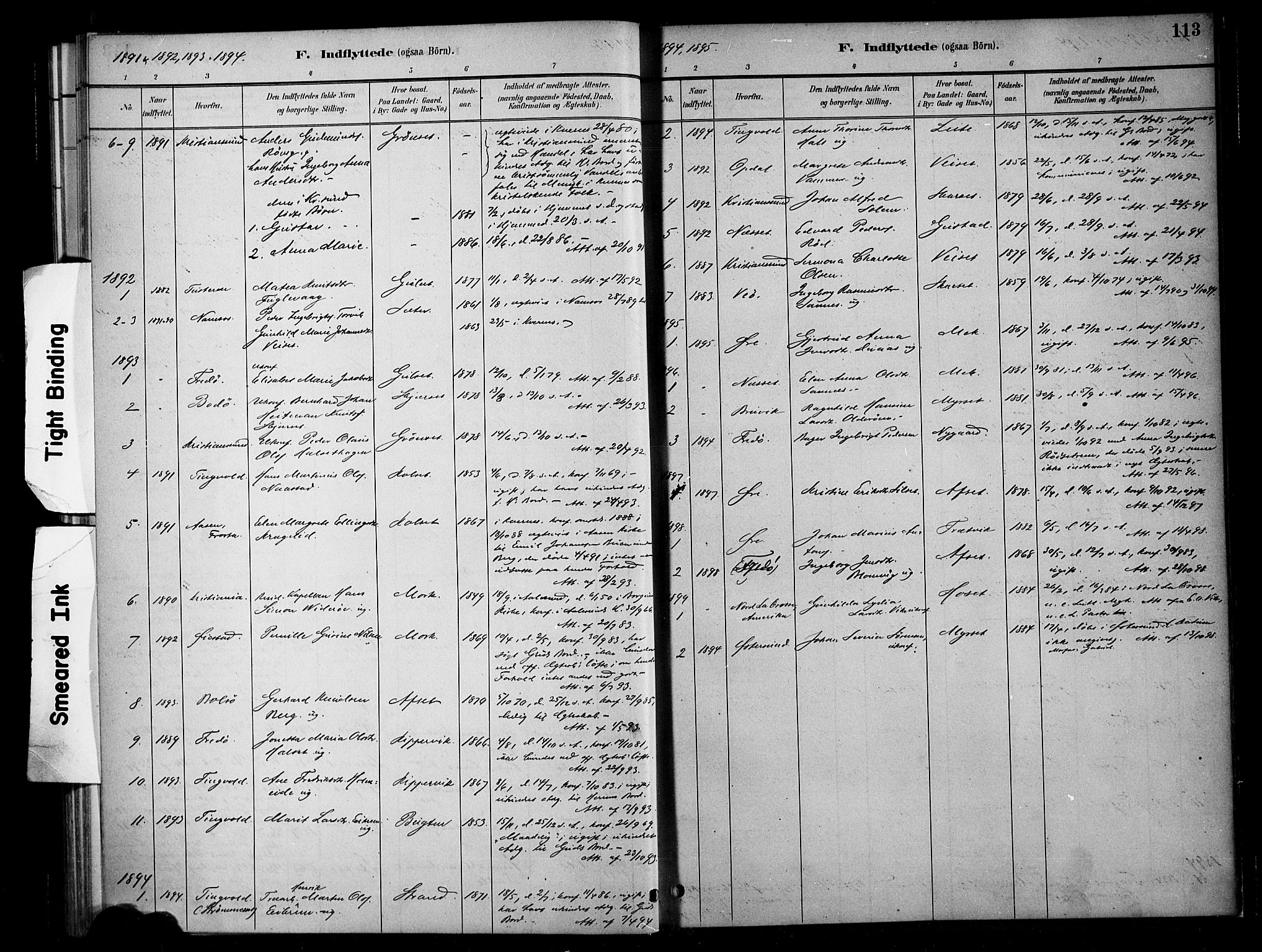 Ministerialprotokoller, klokkerbøker og fødselsregistre - Møre og Romsdal, SAT/A-1454/568/L0809: Ministerialbok nr. 568A13, 1884-1900, s. 113