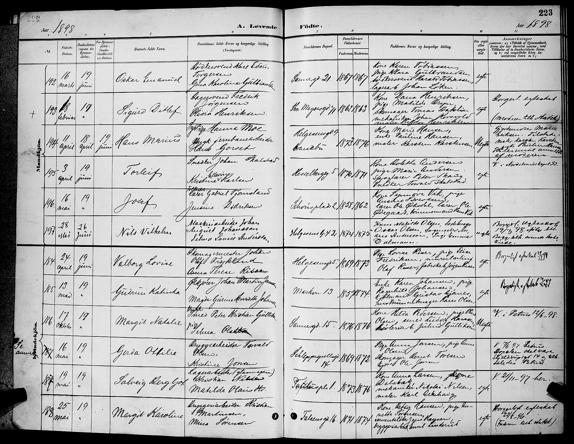 Paulus prestekontor Kirkebøker, AV/SAO-A-10871/G/Ga/L0004: Klokkerbok nr. 4, 1895-1898, s. 223