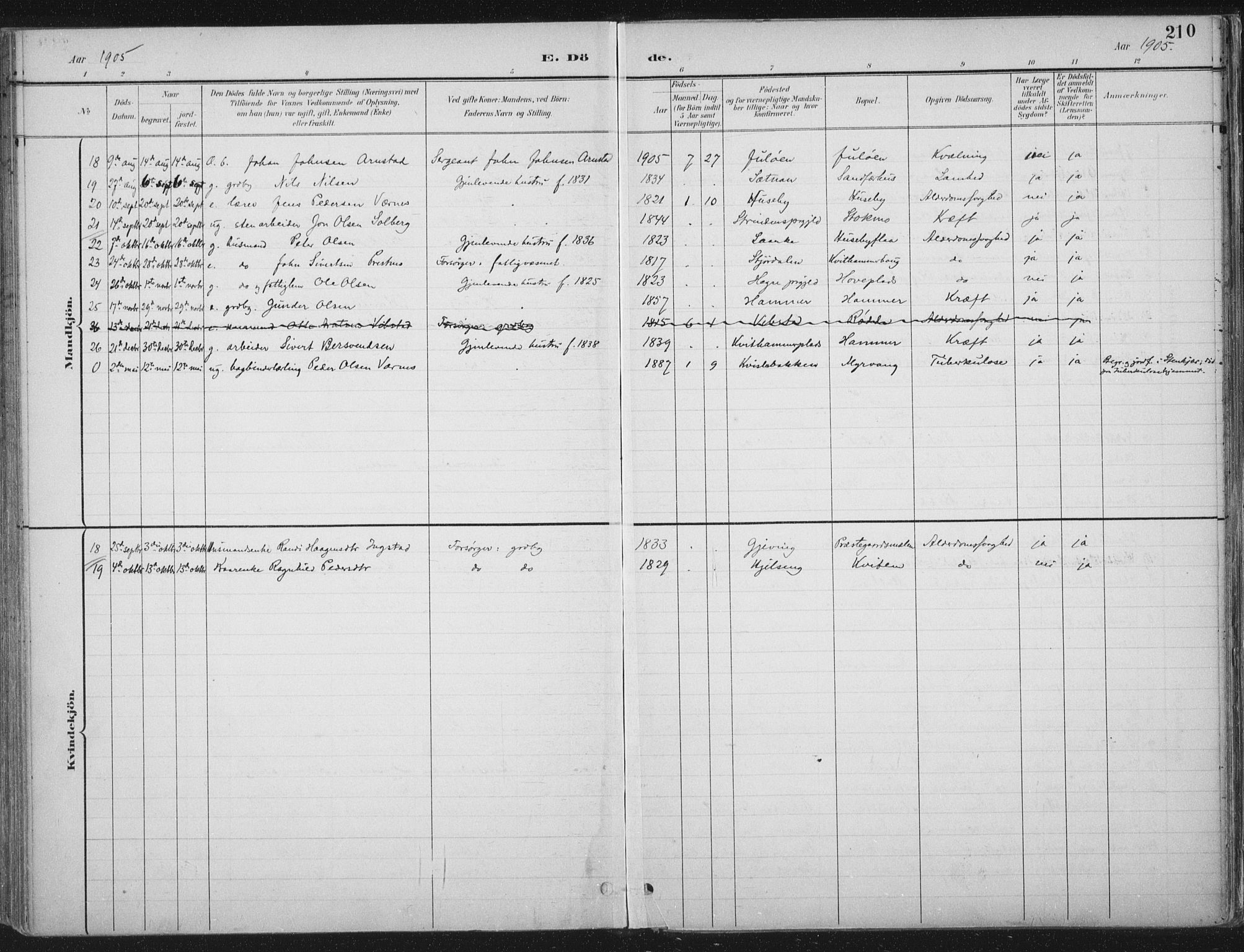 Ministerialprotokoller, klokkerbøker og fødselsregistre - Nord-Trøndelag, SAT/A-1458/709/L0082: Ministerialbok nr. 709A22, 1896-1916, s. 210