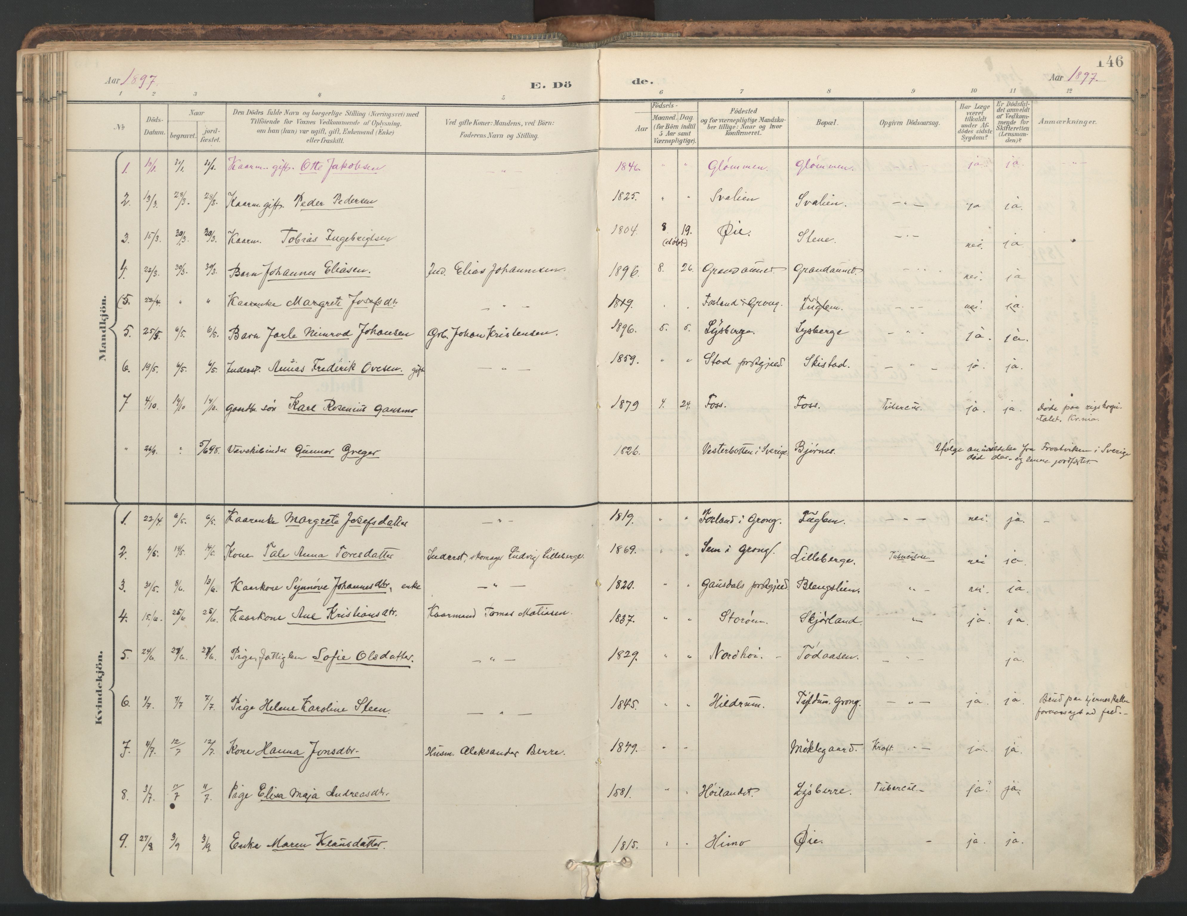 Ministerialprotokoller, klokkerbøker og fødselsregistre - Nord-Trøndelag, AV/SAT-A-1458/764/L0556: Ministerialbok nr. 764A11, 1897-1924, s. 146