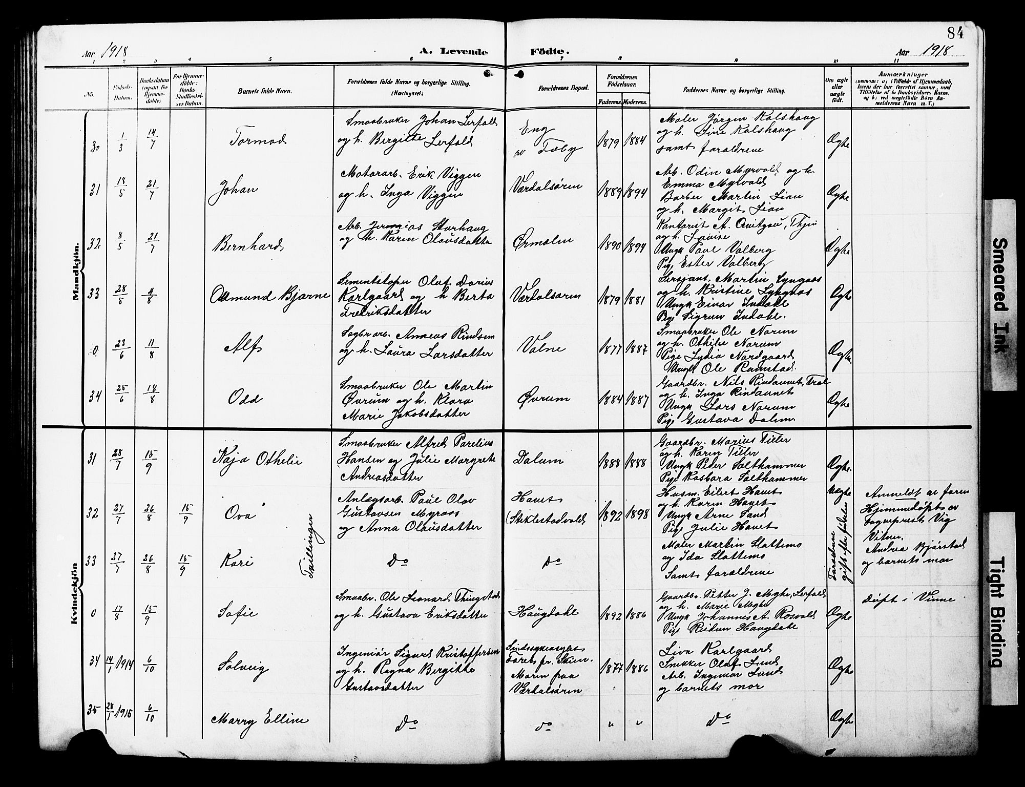 Ministerialprotokoller, klokkerbøker og fødselsregistre - Nord-Trøndelag, AV/SAT-A-1458/723/L0258: Klokkerbok nr. 723C06, 1908-1927, s. 84