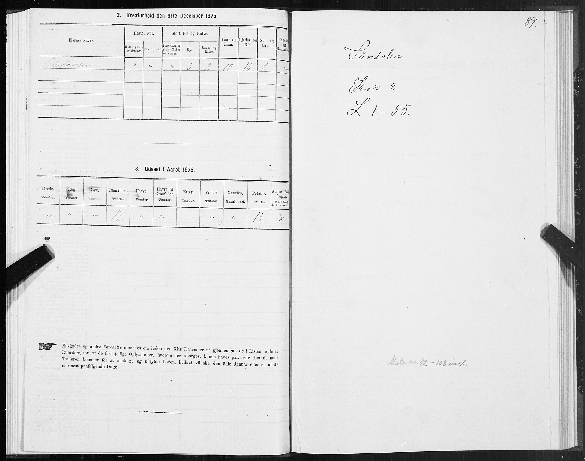 SAT, Folketelling 1875 for 1563P Sunndal prestegjeld, 1875, s. 3089