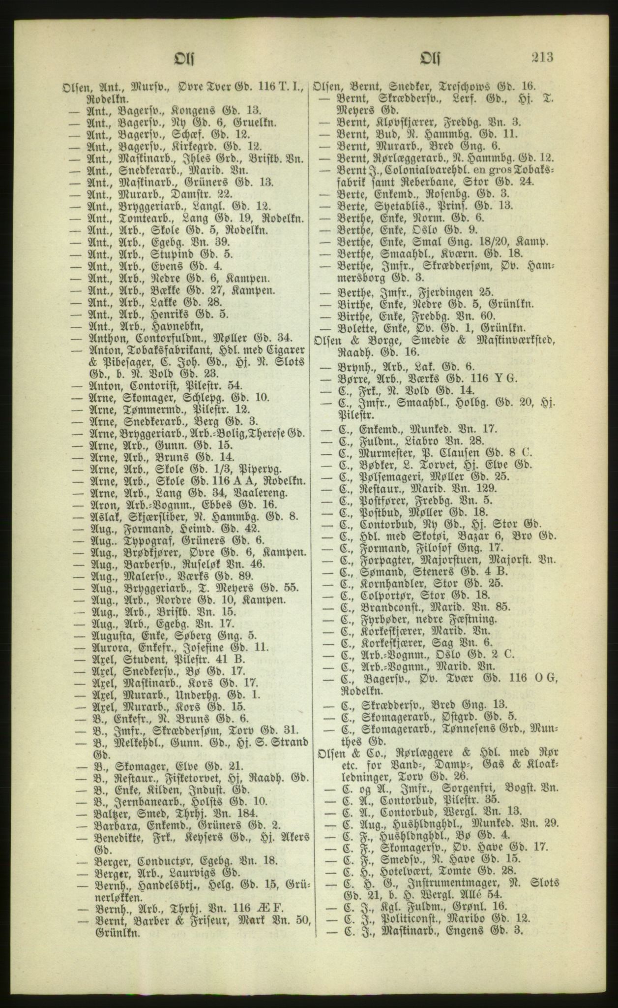 Kristiania/Oslo adressebok, PUBL/-, 1880, s. 213