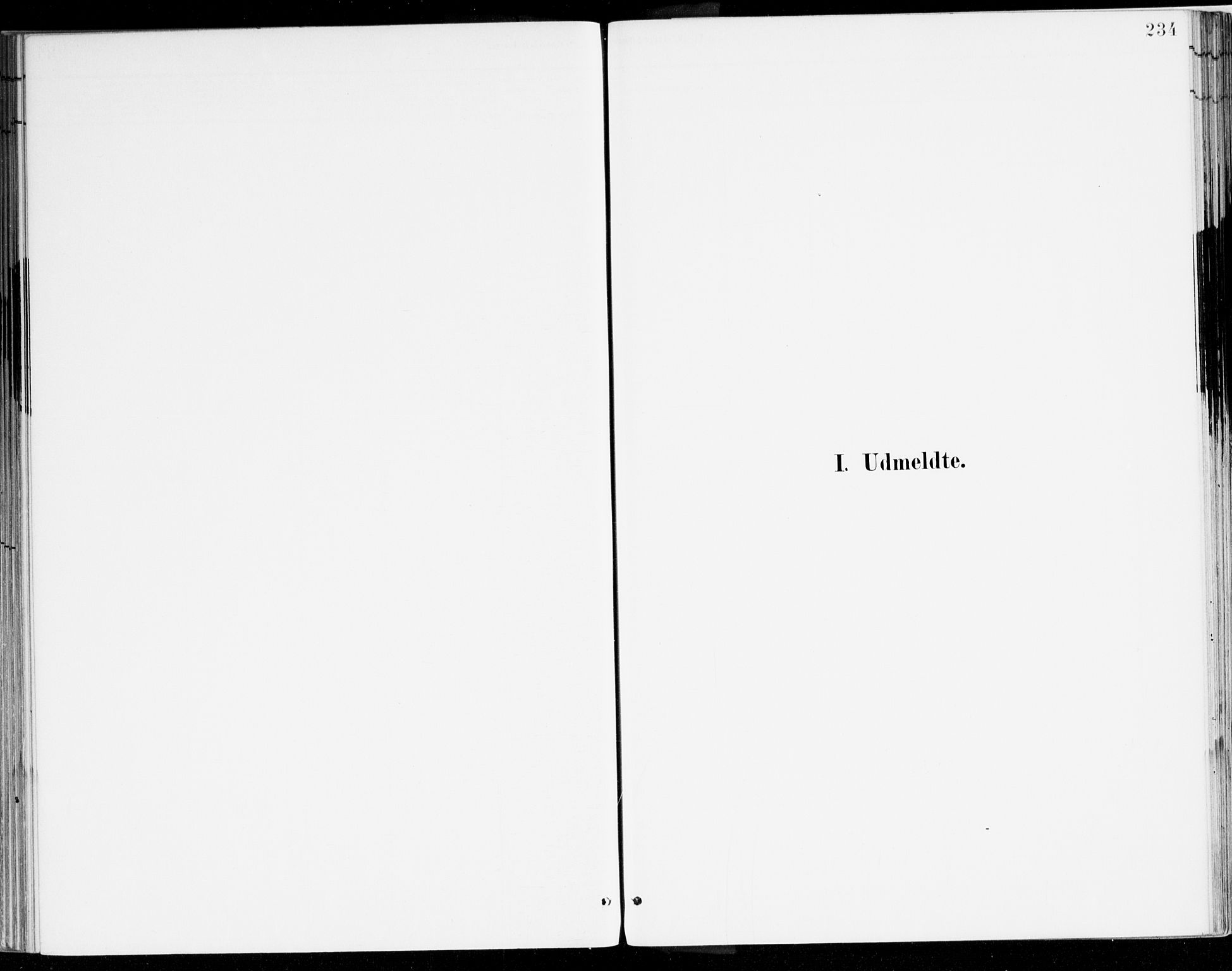 Lavik sokneprestembete, SAB/A-80901: Ministerialbok nr. B 1, 1882-1908, s. 234