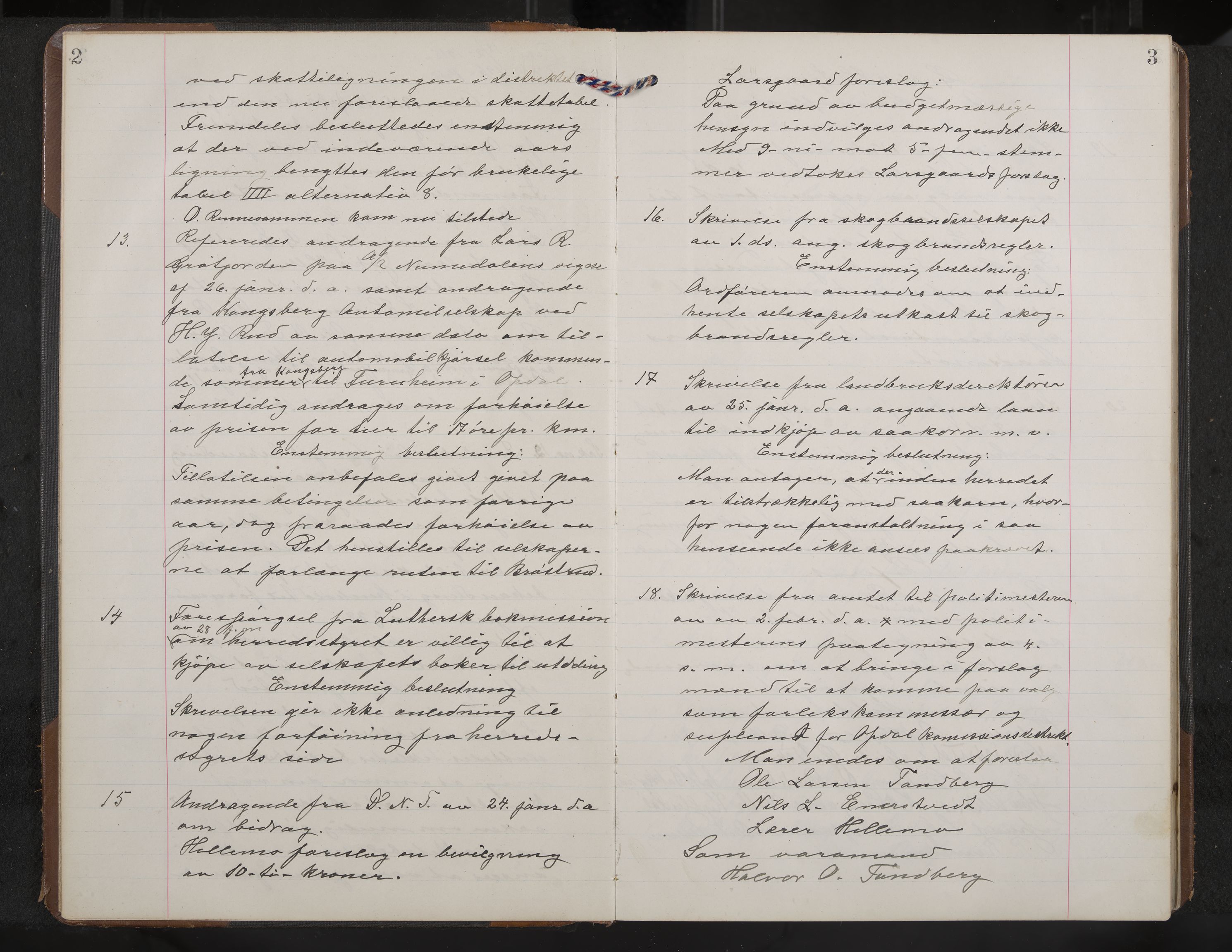 Uvdal formannskap og sentraladministrasjon, IKAK/0634021/A/Aa/L0003: Møtebok, 1915-1919, s. 2-3