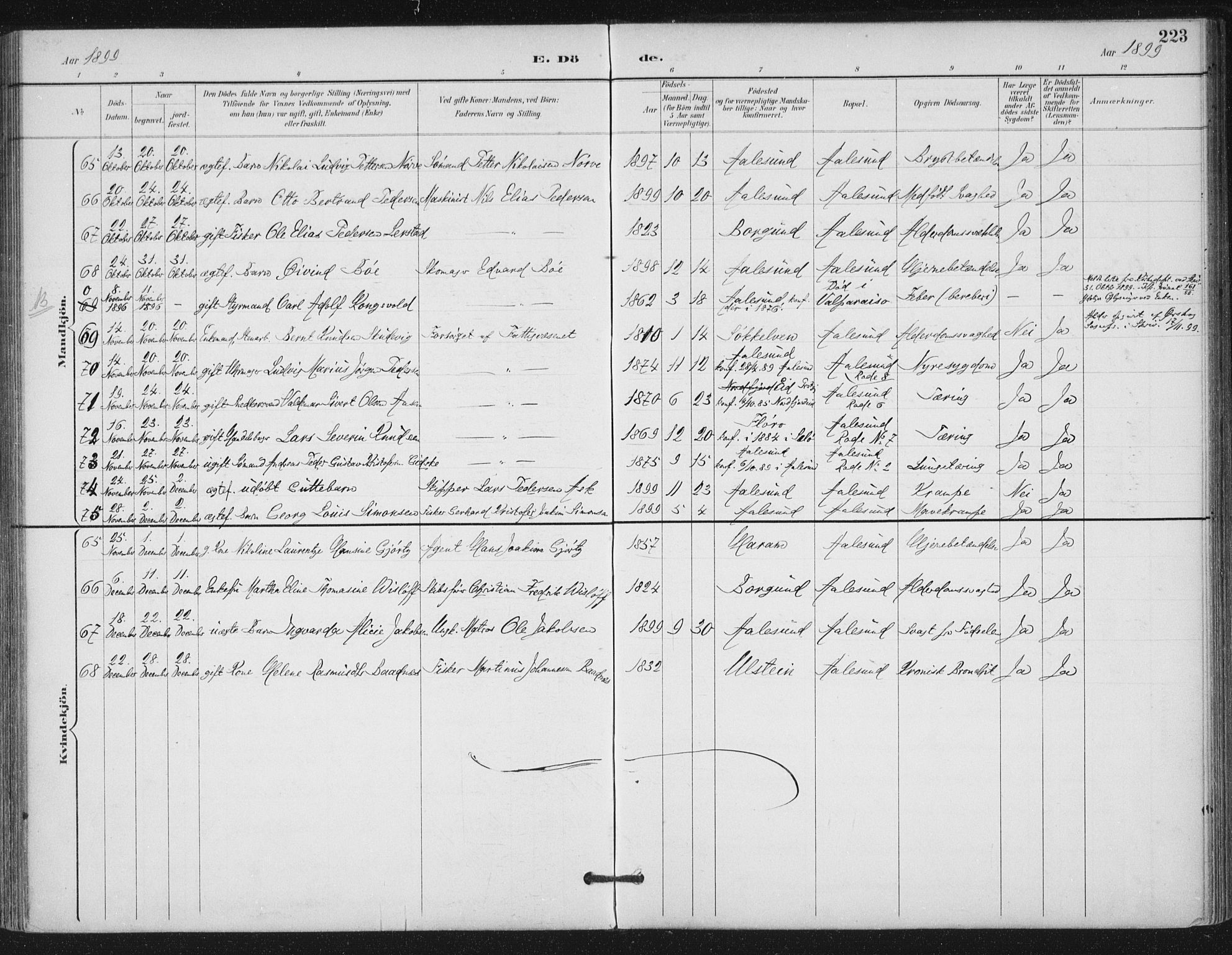 Ministerialprotokoller, klokkerbøker og fødselsregistre - Møre og Romsdal, AV/SAT-A-1454/529/L0457: Ministerialbok nr. 529A07, 1894-1903, s. 223