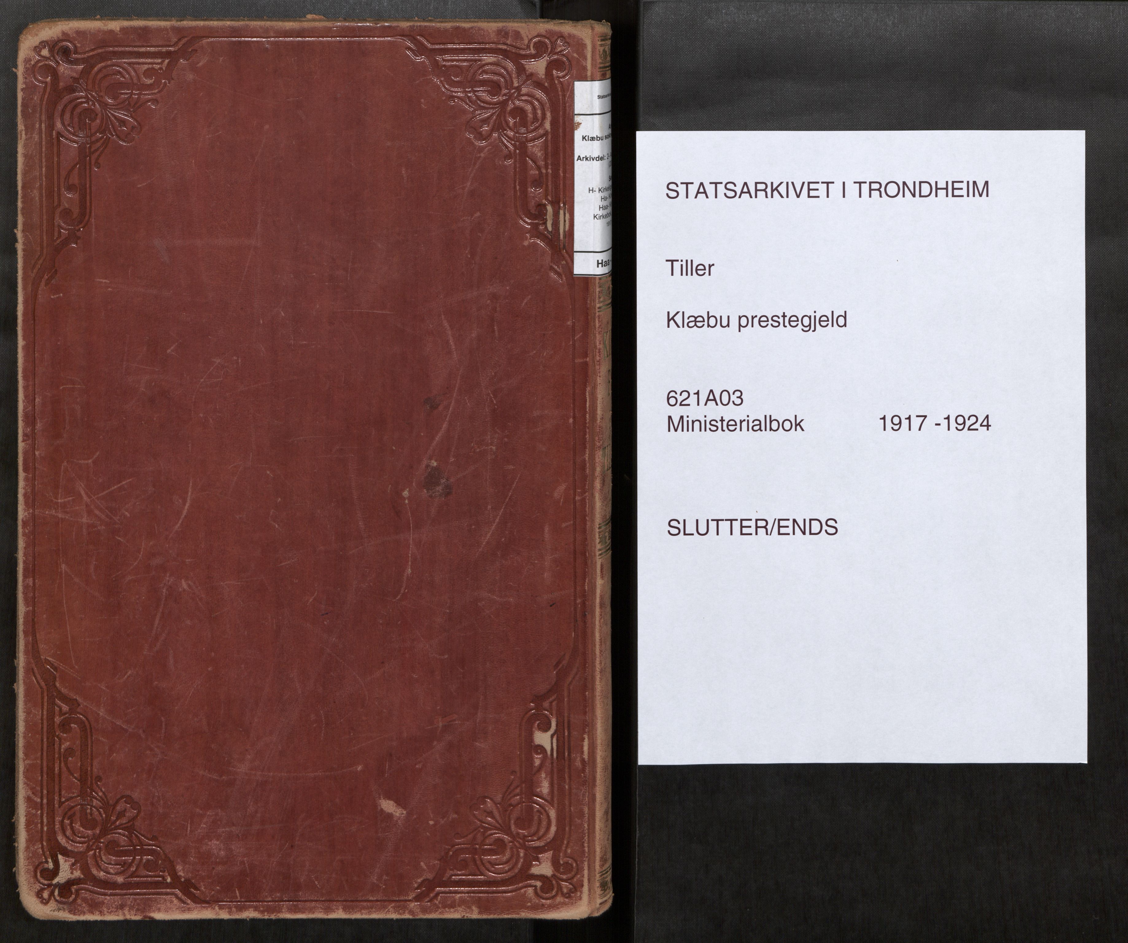 Klæbu sokneprestkontor, SAT/A-1112: Ministerialbok nr. 3, 1917-1924