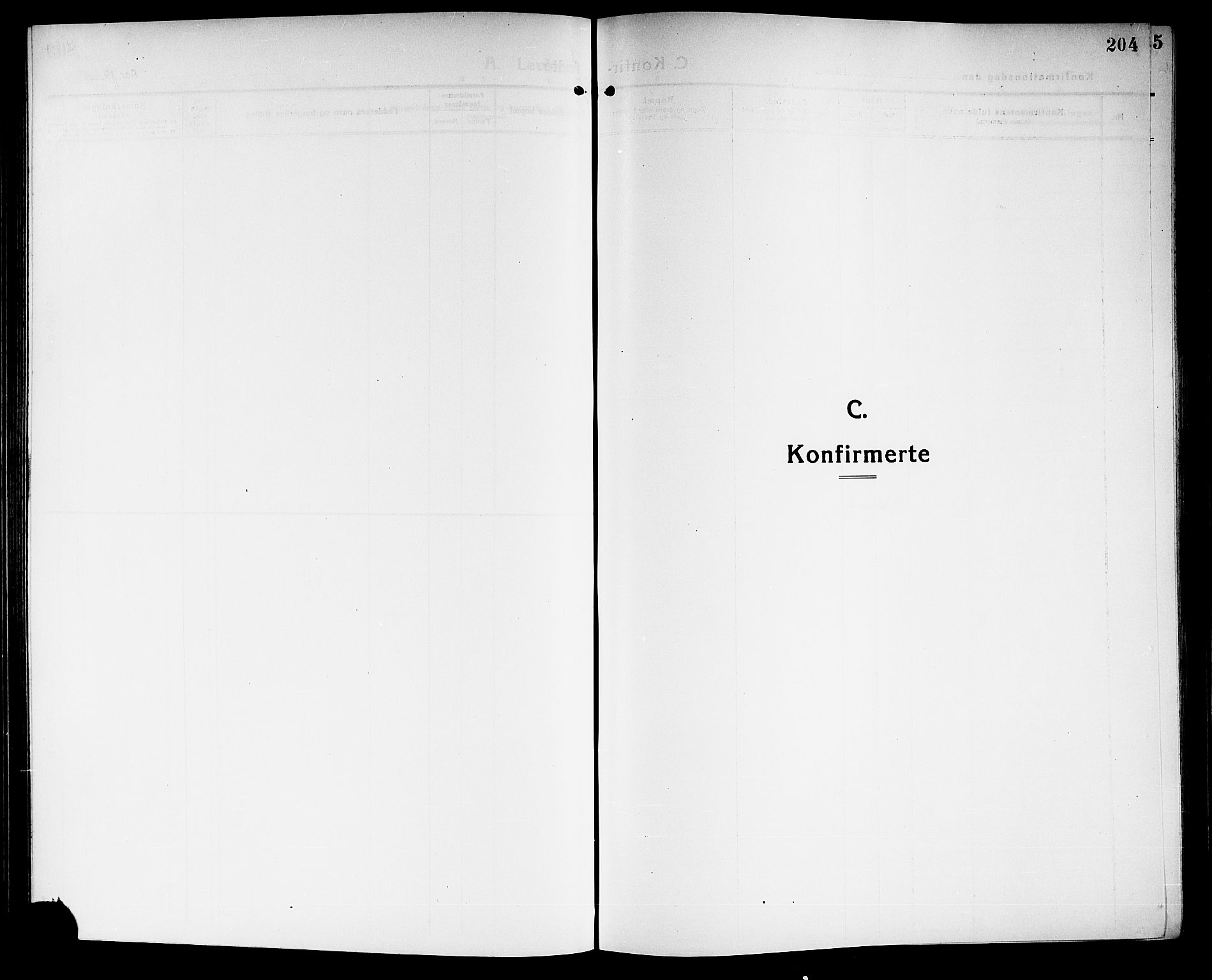 Sandar kirkebøker, SAKO/A-243/G/Ga/L0003: Klokkerbok nr. 3, 1916-1922, s. 204