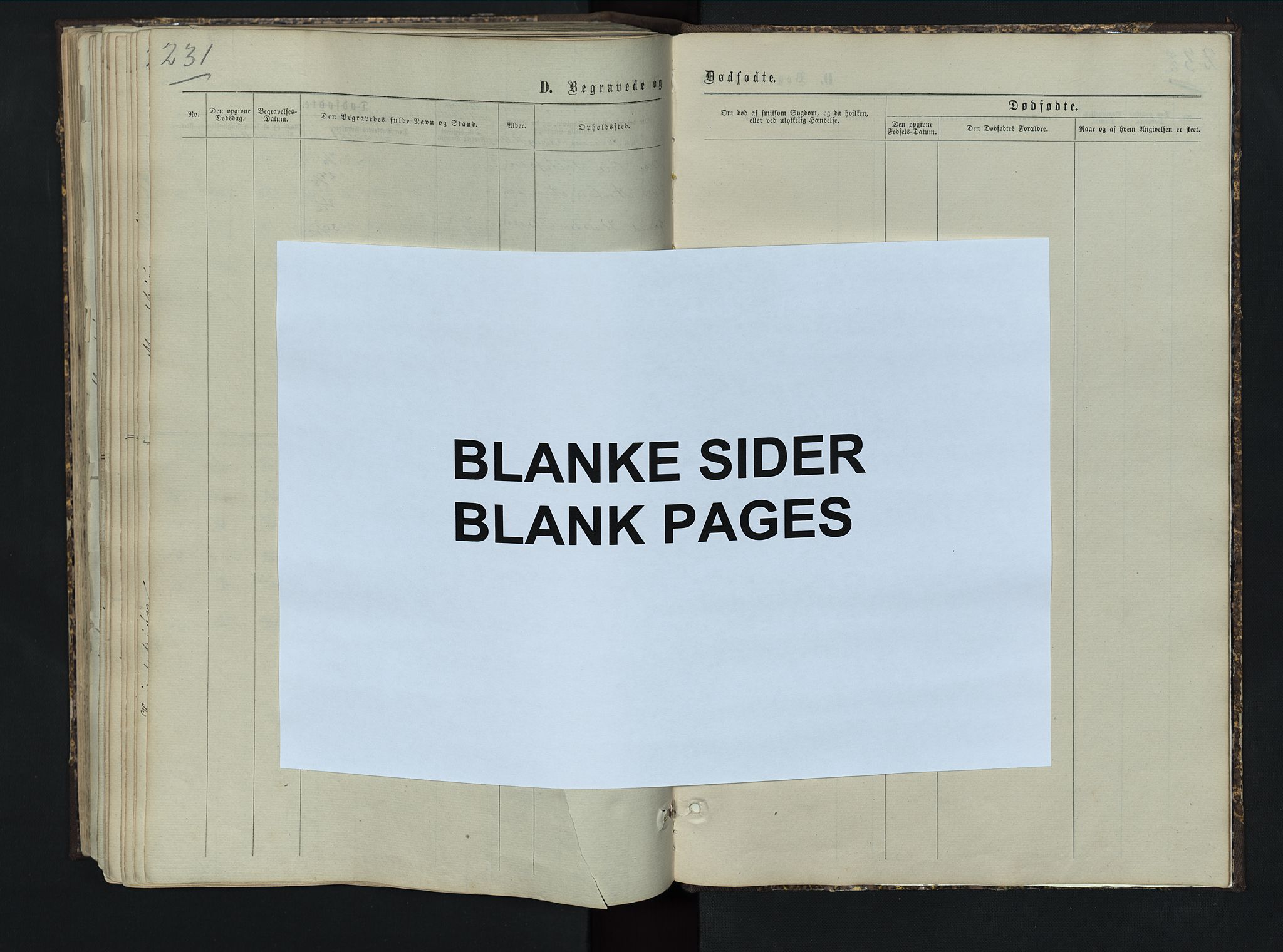 Sør-Aurdal prestekontor, SAH/PREST-128/H/Ha/Hab/L0005: Klokkerbok nr. 5, 1866-1893, s. 231