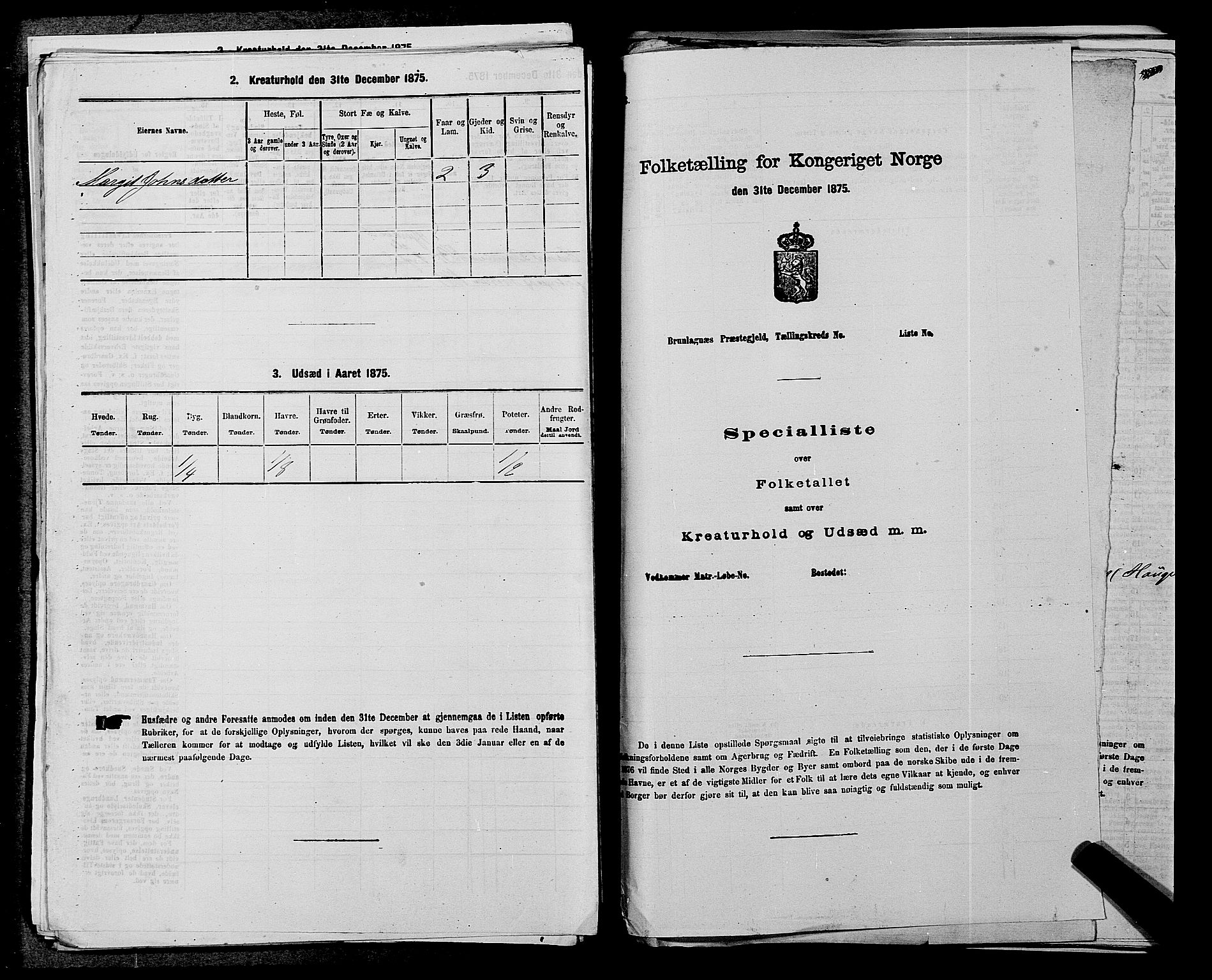 SAKO, Folketelling 1875 for 0827P Hjartdal prestegjeld, 1875, s. 458