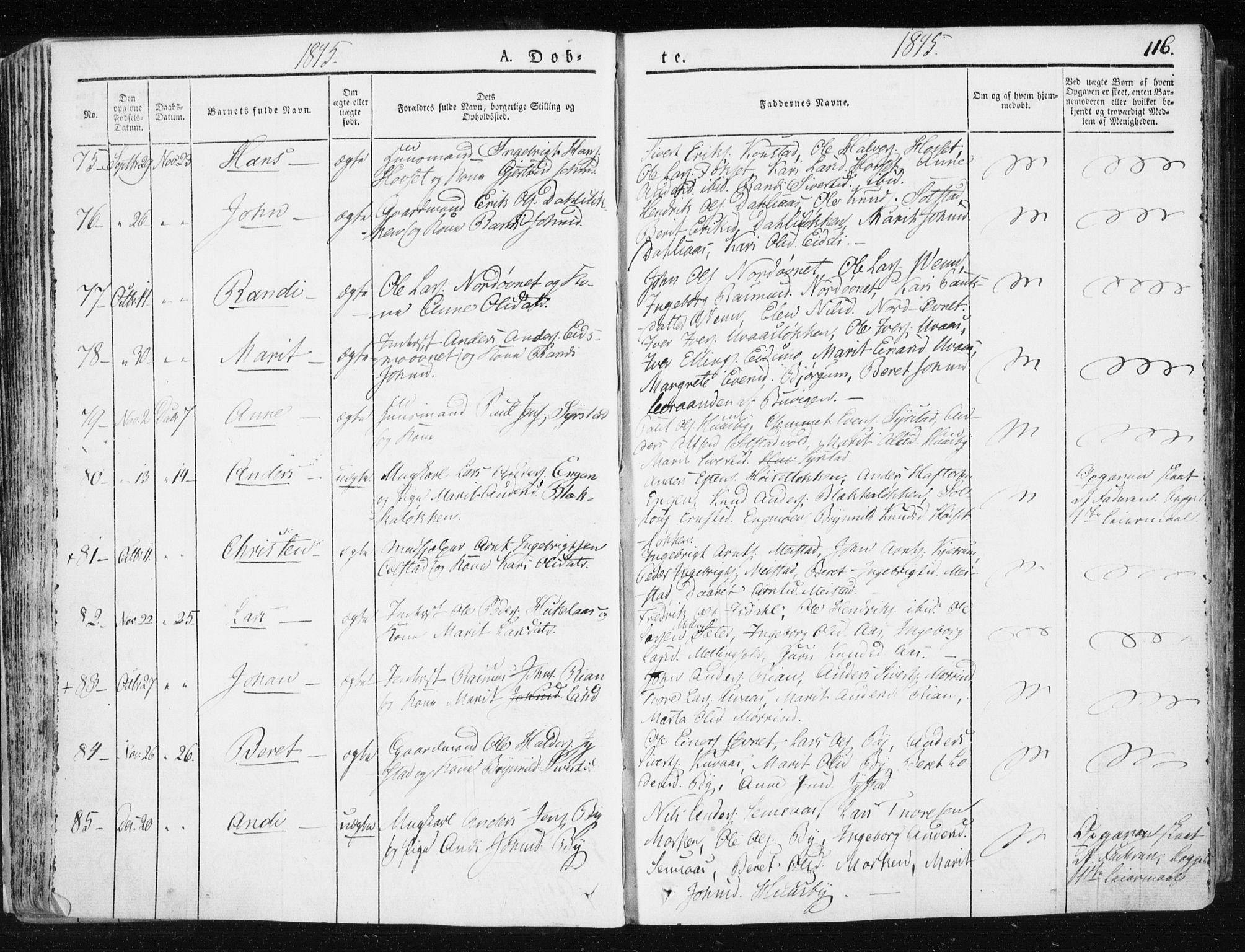 Ministerialprotokoller, klokkerbøker og fødselsregistre - Sør-Trøndelag, SAT/A-1456/665/L0771: Ministerialbok nr. 665A06, 1830-1856, s. 116