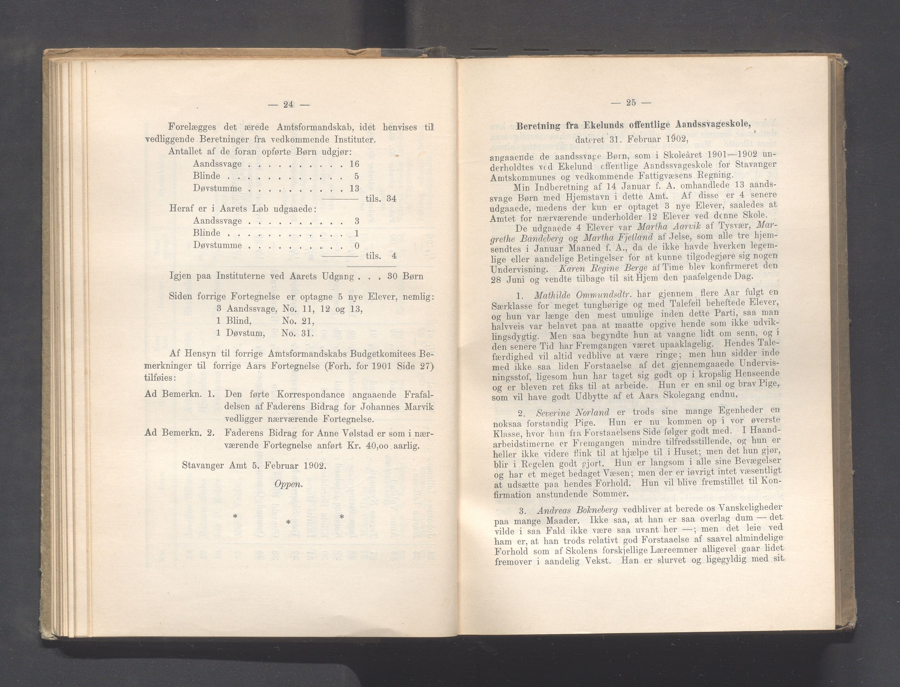 Rogaland fylkeskommune - Fylkesrådmannen , IKAR/A-900/A, 1902, s. 68