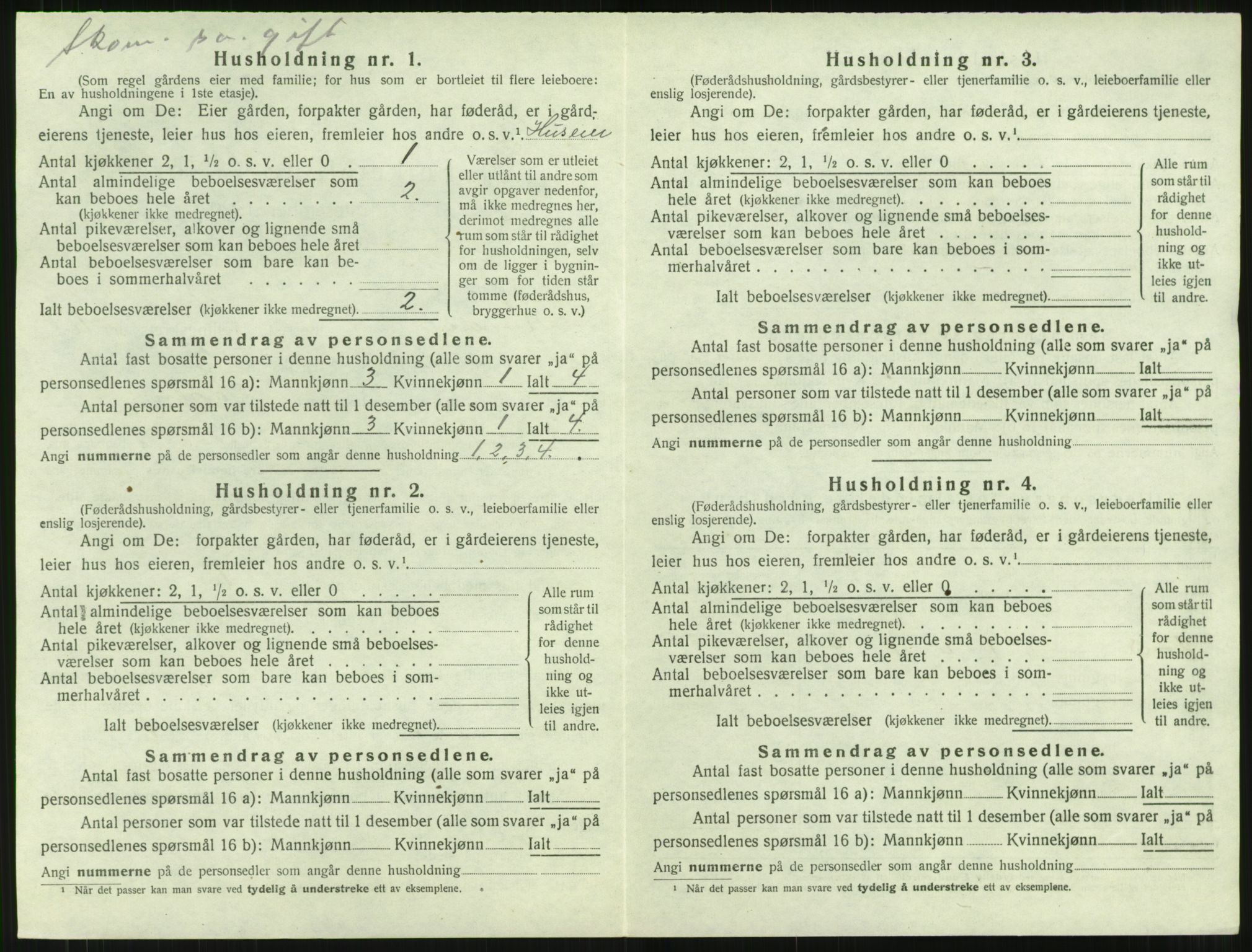 SAT, Folketelling 1920 for 1567 Rindal herred, 1920, s. 743