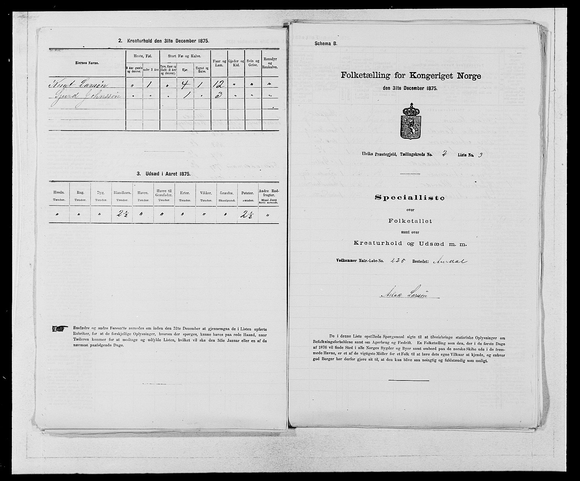 SAB, Folketelling 1875 for 1233P Ulvik prestegjeld, 1875, s. 307