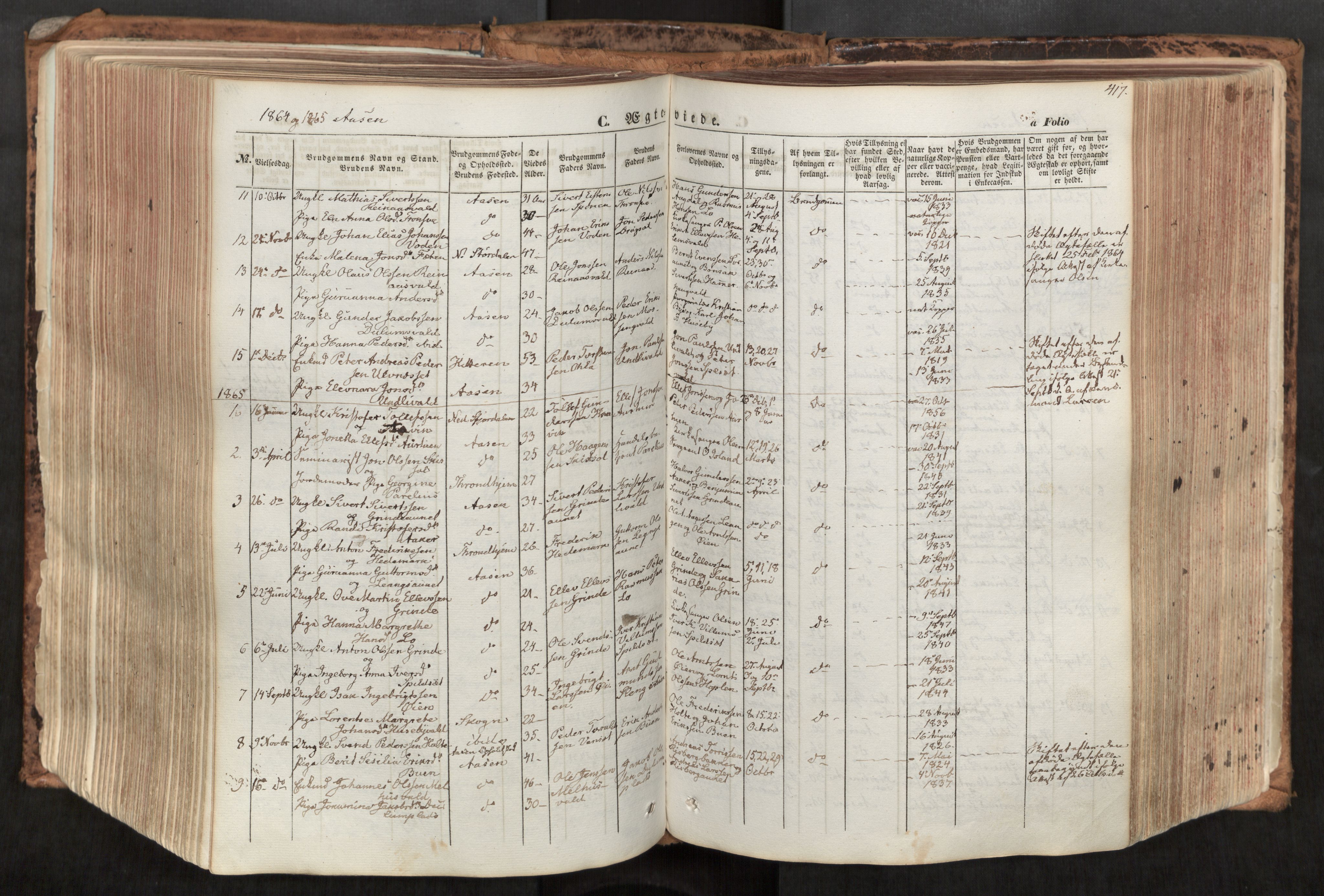 Ministerialprotokoller, klokkerbøker og fødselsregistre - Nord-Trøndelag, AV/SAT-A-1458/713/L0116: Ministerialbok nr. 713A07, 1850-1877, s. 417