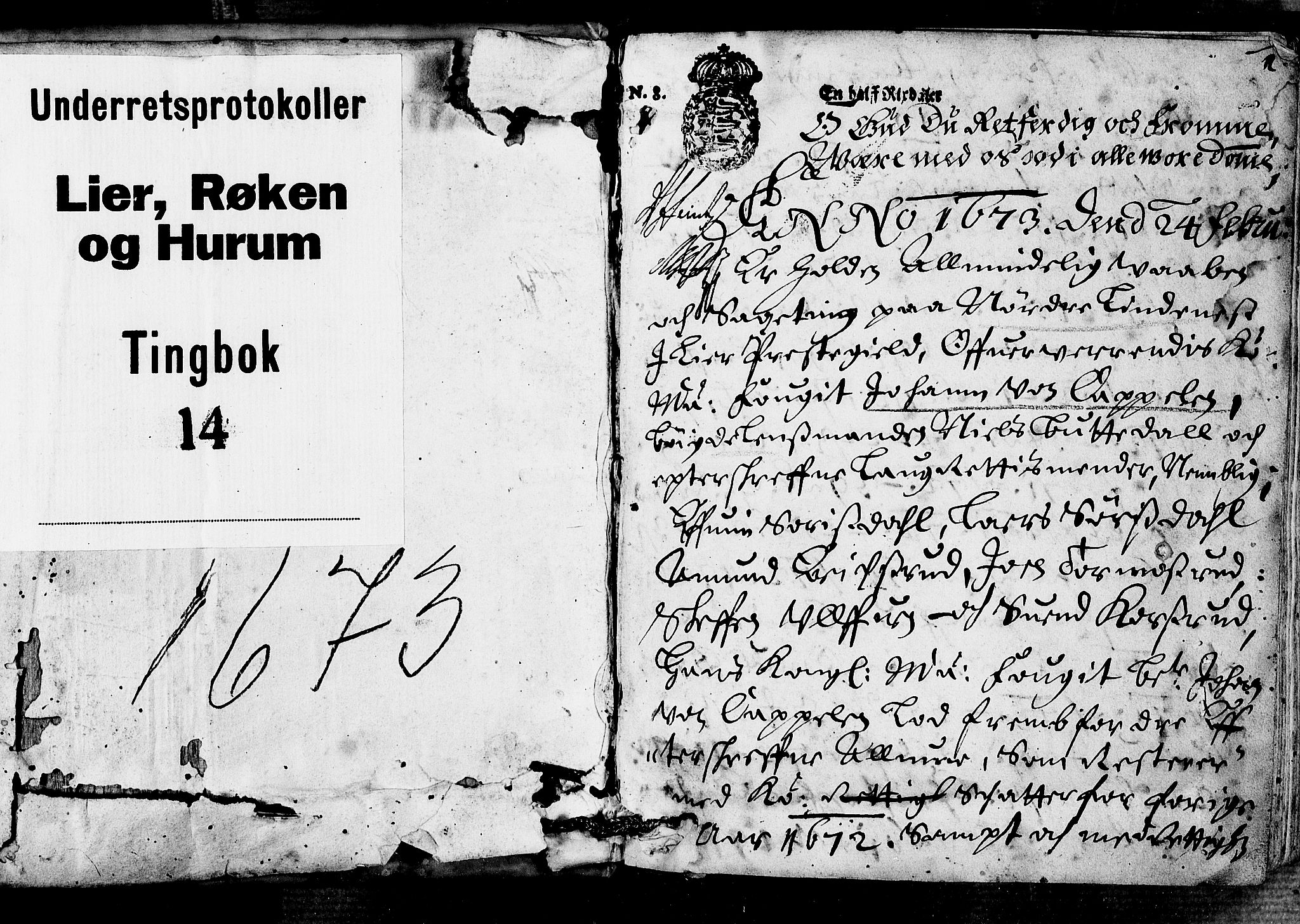 Lier, Røyken og Hurum sorenskriveri, SAKO/A-89/F/Fa/L0014: Tingbok, 1673, s. 1