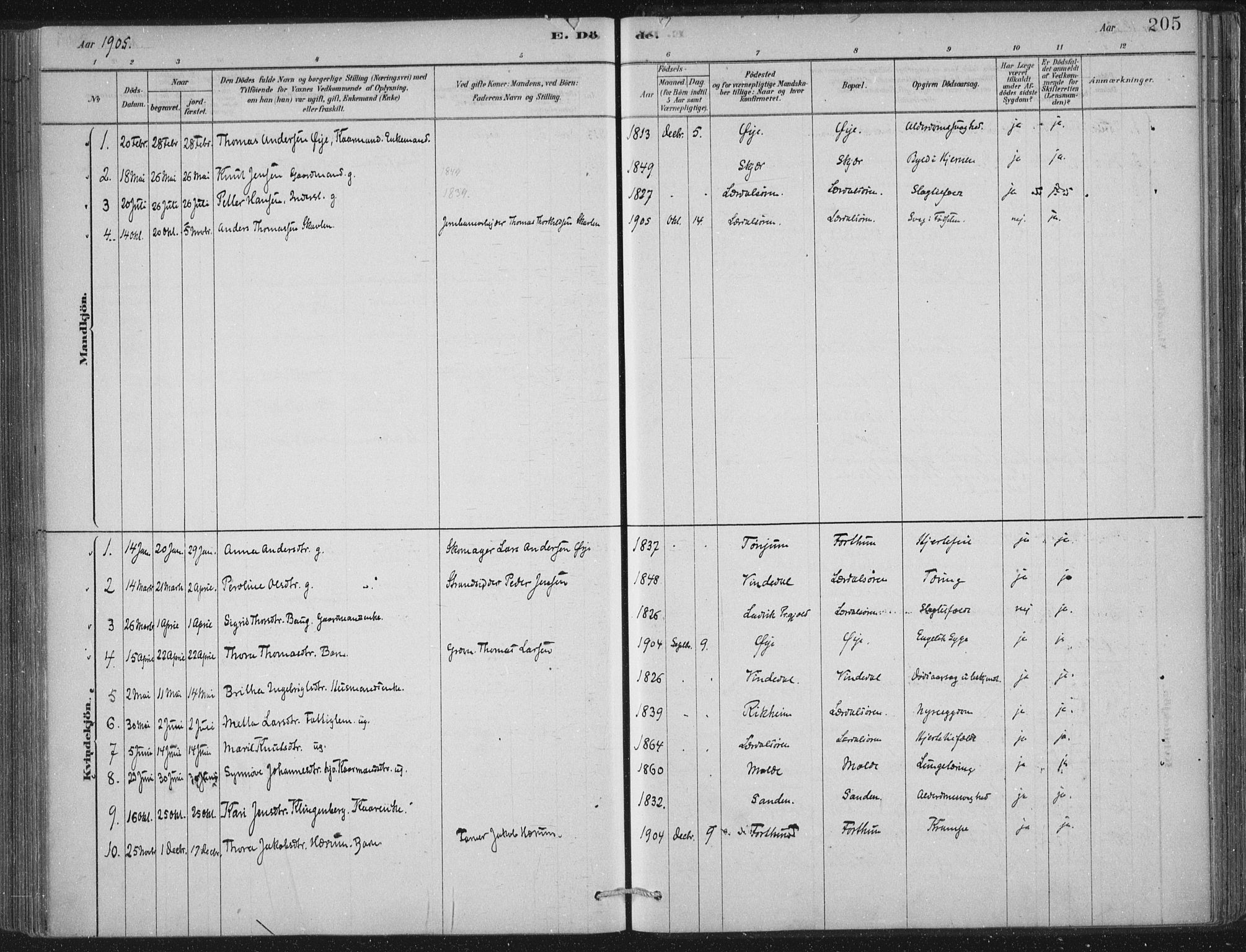 Lærdal sokneprestembete, SAB/A-81201: Ministerialbok nr. D  1, 1878-1908, s. 205