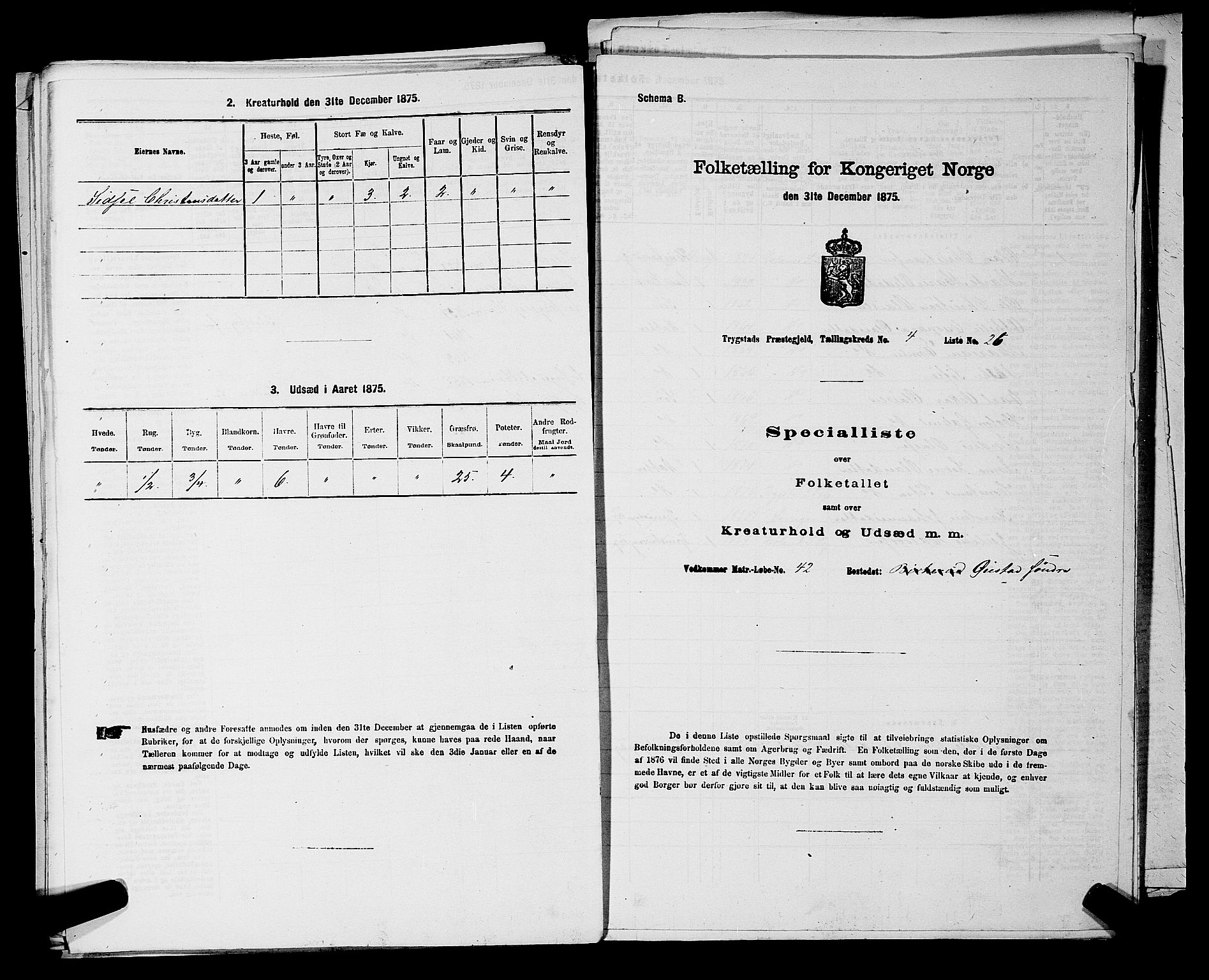 RA, Folketelling 1875 for 0122P Trøgstad prestegjeld, 1875, s. 423