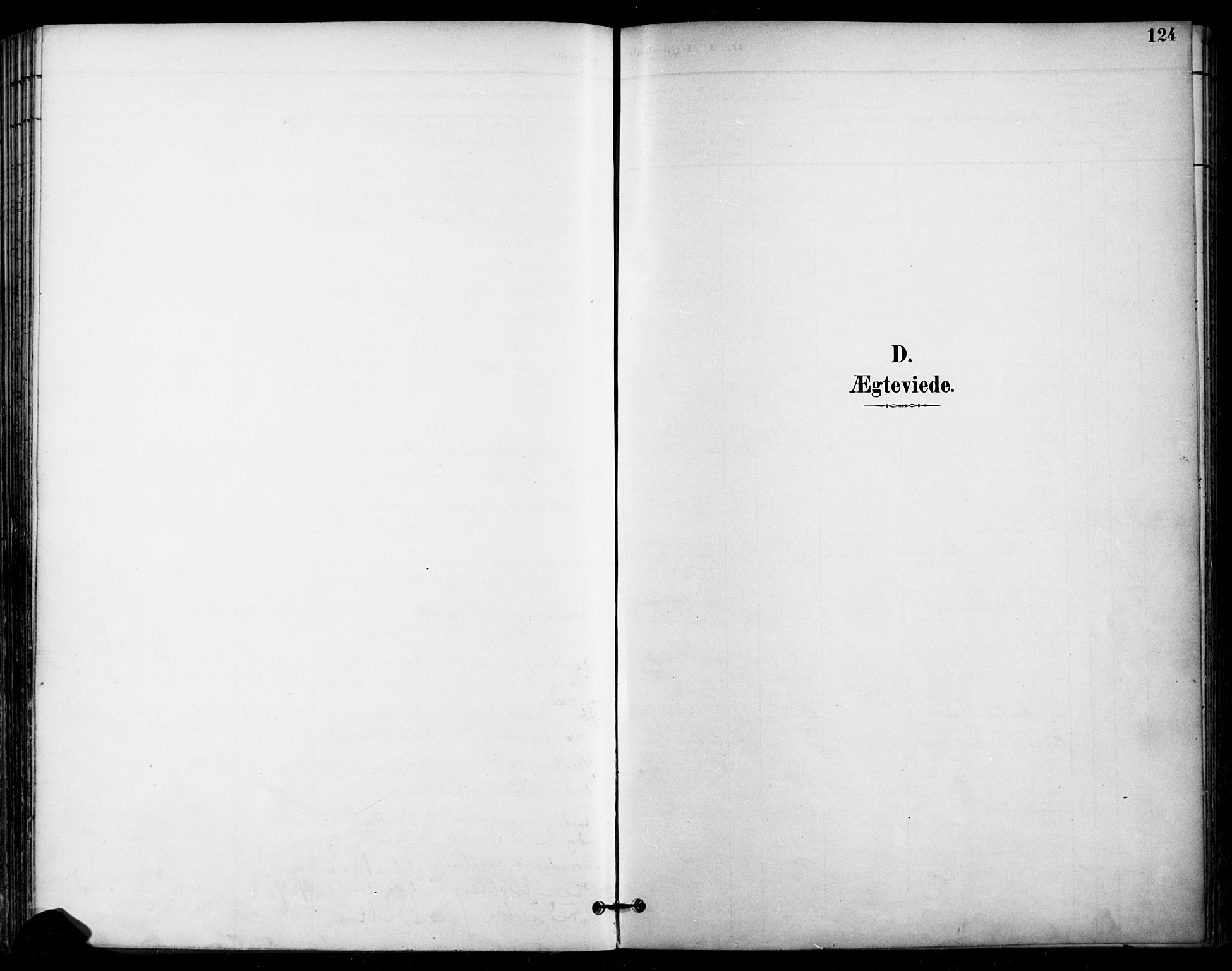 Ullensaker prestekontor Kirkebøker, SAO/A-10236a/F/Fa/L0020: Ministerialbok nr. I 20, 1892-1902, s. 124