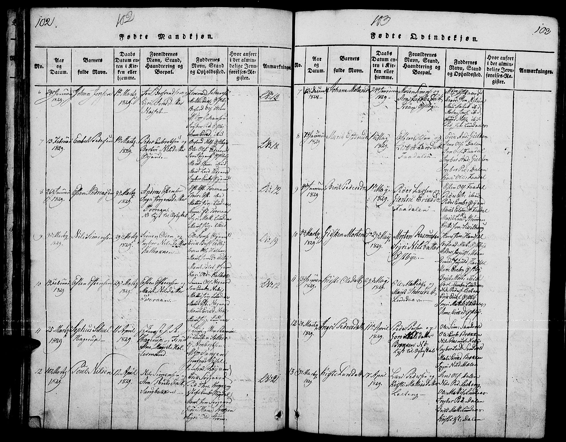 Tynset prestekontor, AV/SAH-PREST-058/H/Ha/Hab/L0001: Klokkerbok nr. 1, 1814-1859, s. 102-103