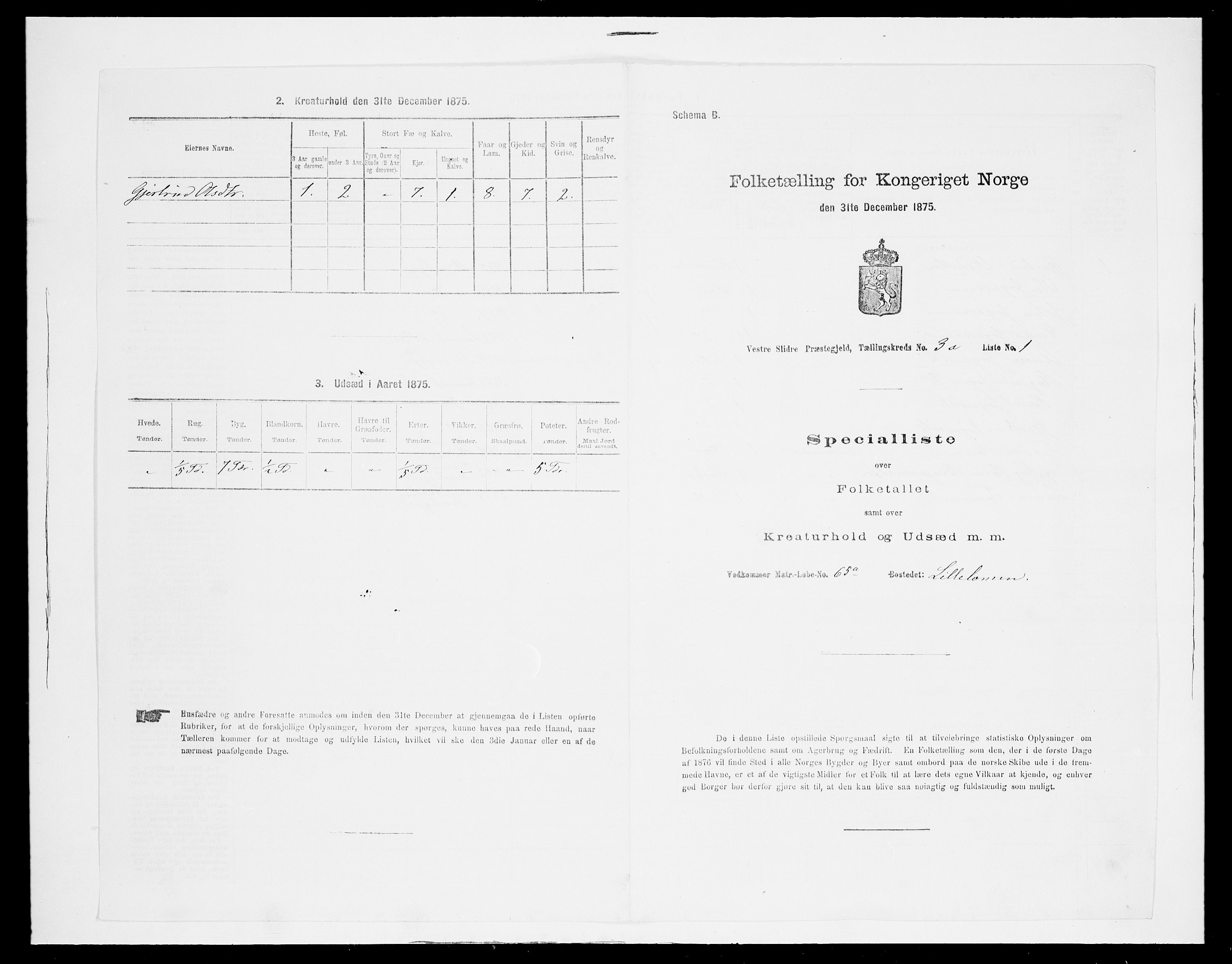 SAH, Folketelling 1875 for 0543P Vestre Slidre prestegjeld, 1875, s. 275