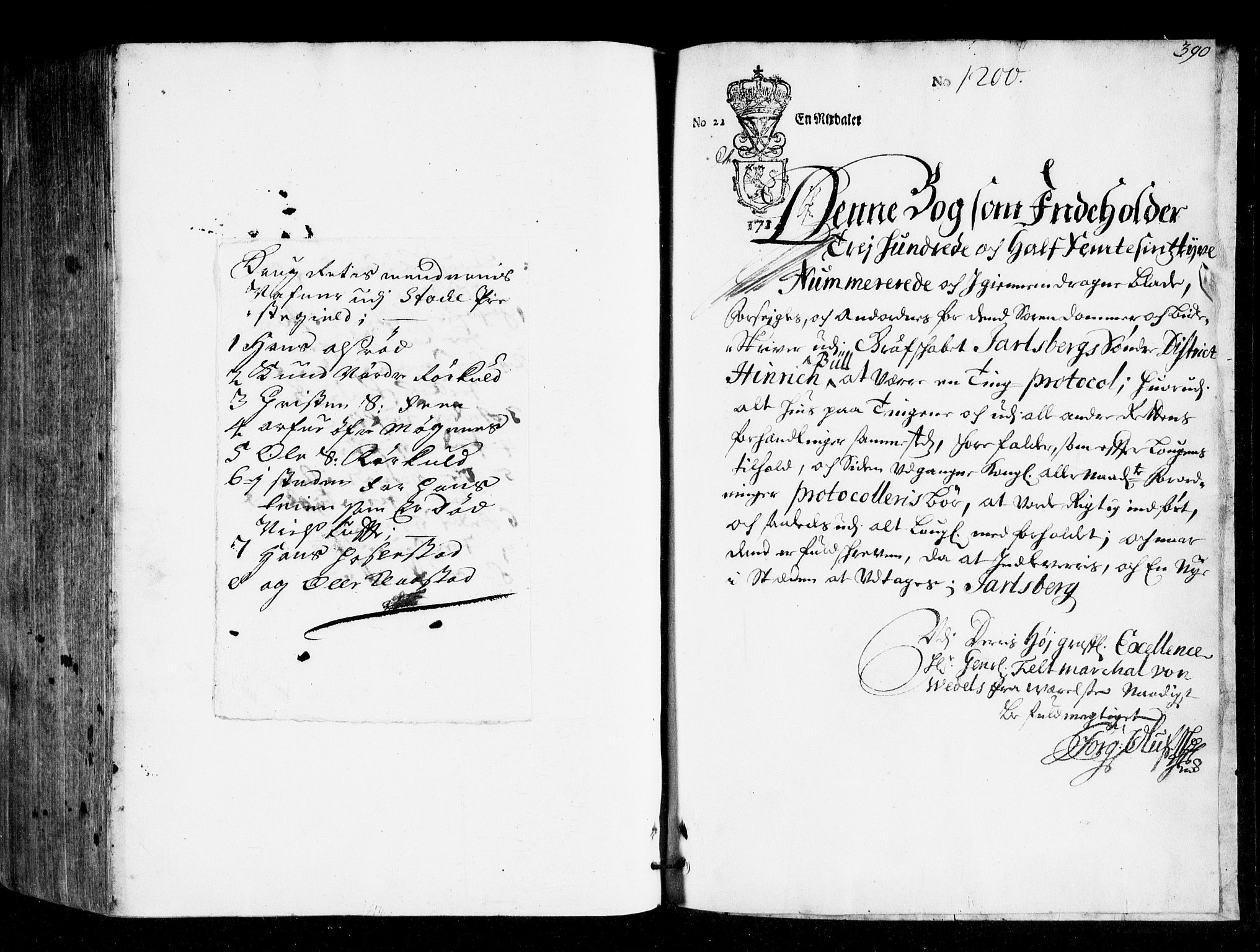 Søndre Jarlsberg sorenskriveri, AV/SAKO-A-129/F/Fa/L0009: Tingbok, 1715-1717, s. 390