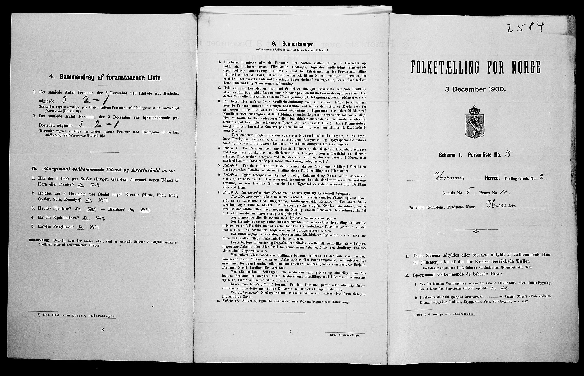 SAK, Folketelling 1900 for 0936 Hornnes herred, 1900, s. 134