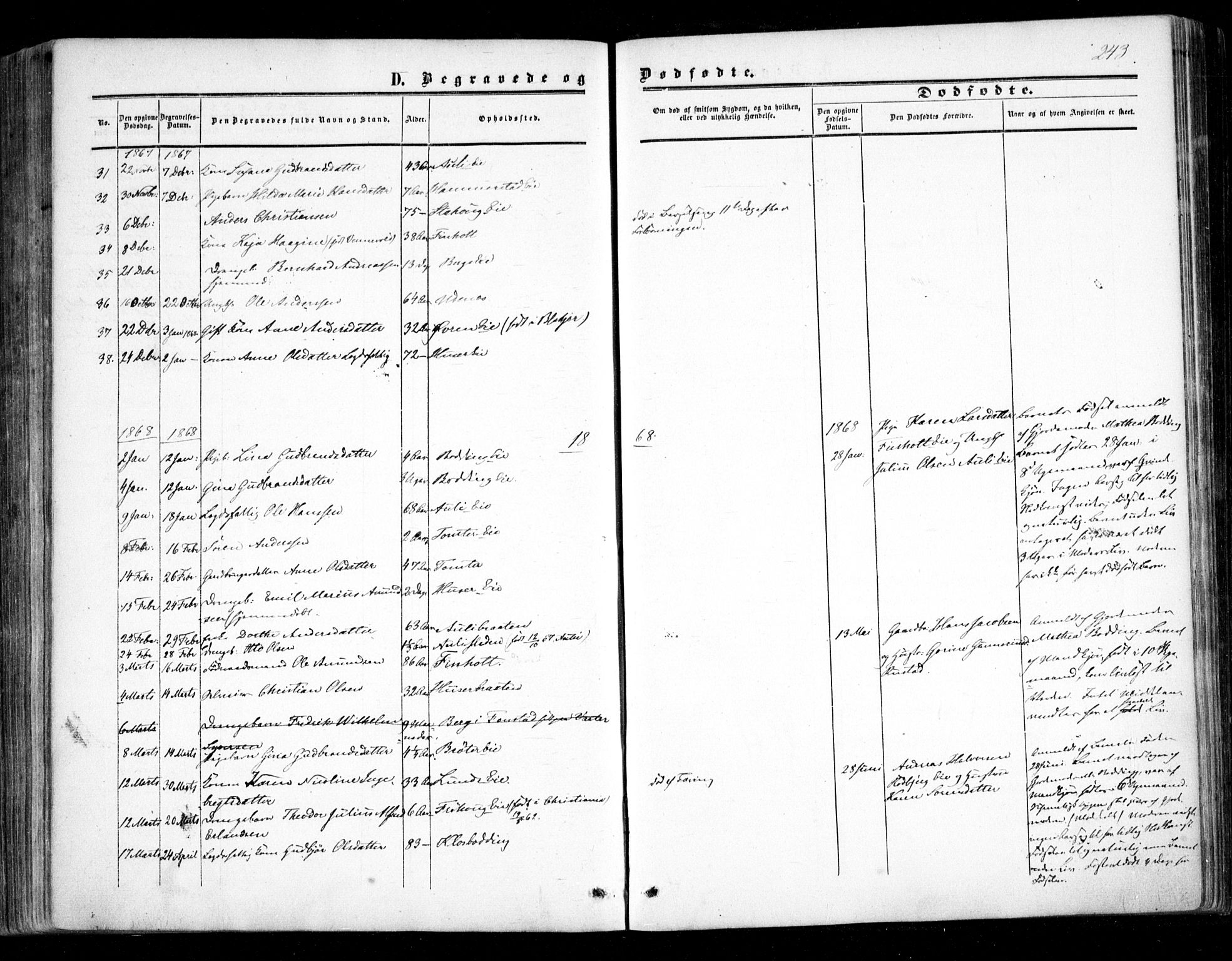 Nes prestekontor Kirkebøker, SAO/A-10410/F/Fc/L0001: Ministerialbok nr. III 1, 1859-1882, s. 243