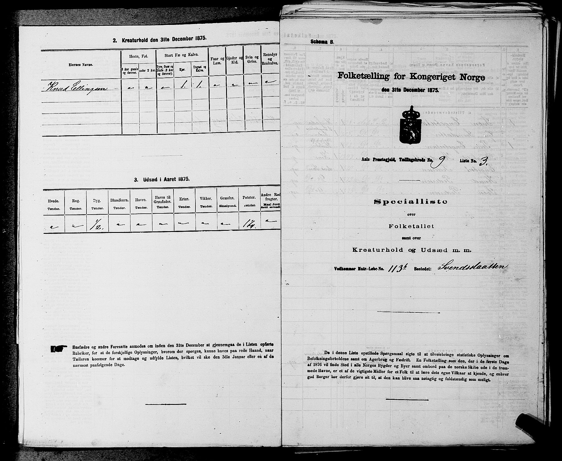 SAKO, Folketelling 1875 for 0619P Ål prestegjeld, 1875, s. 1095