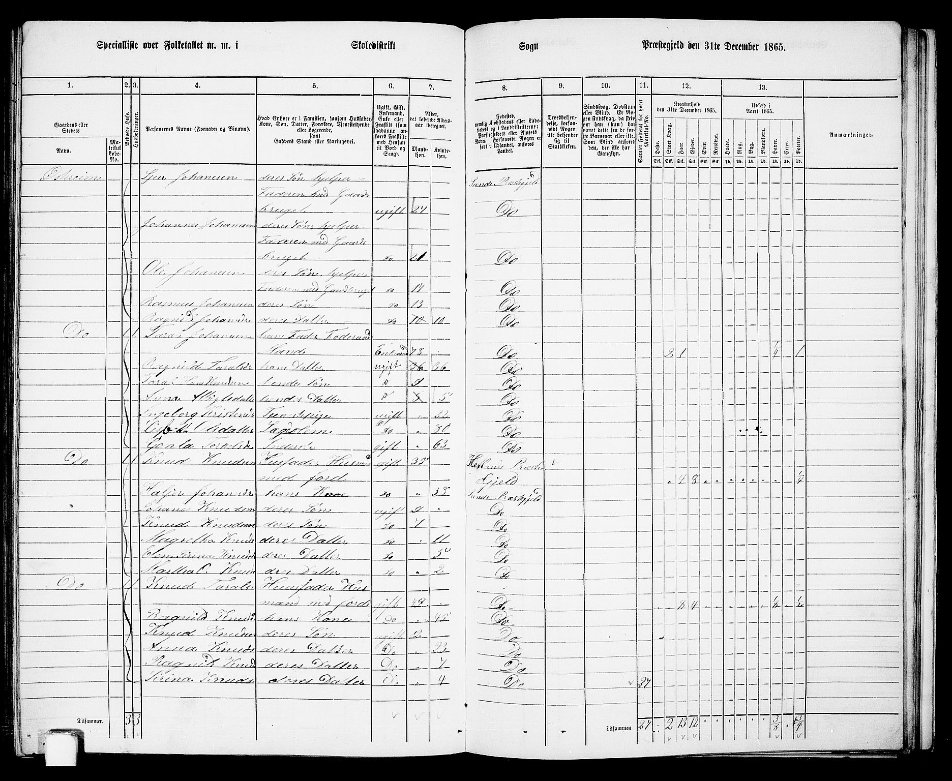 RA, Folketelling 1865 for 1136P Sand prestegjeld, 1865, s. 133