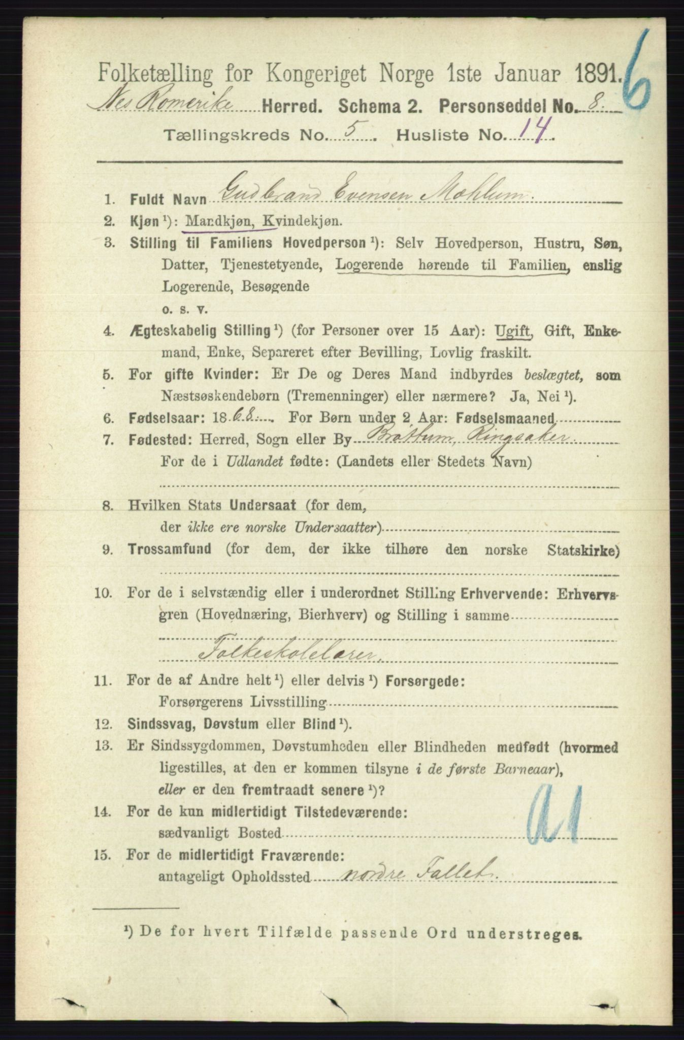 RA, Folketelling 1891 for 0236 Nes herred, 1891, s. 2870