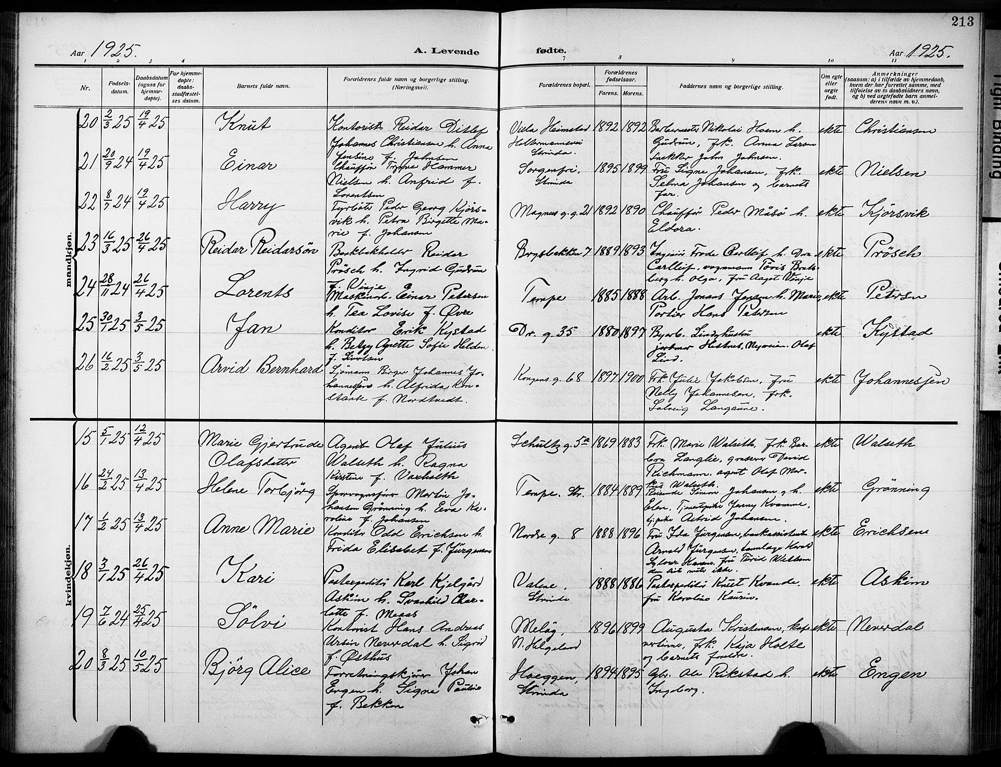 Ministerialprotokoller, klokkerbøker og fødselsregistre - Sør-Trøndelag, AV/SAT-A-1456/601/L0096: Klokkerbok nr. 601C14, 1911-1931, s. 213