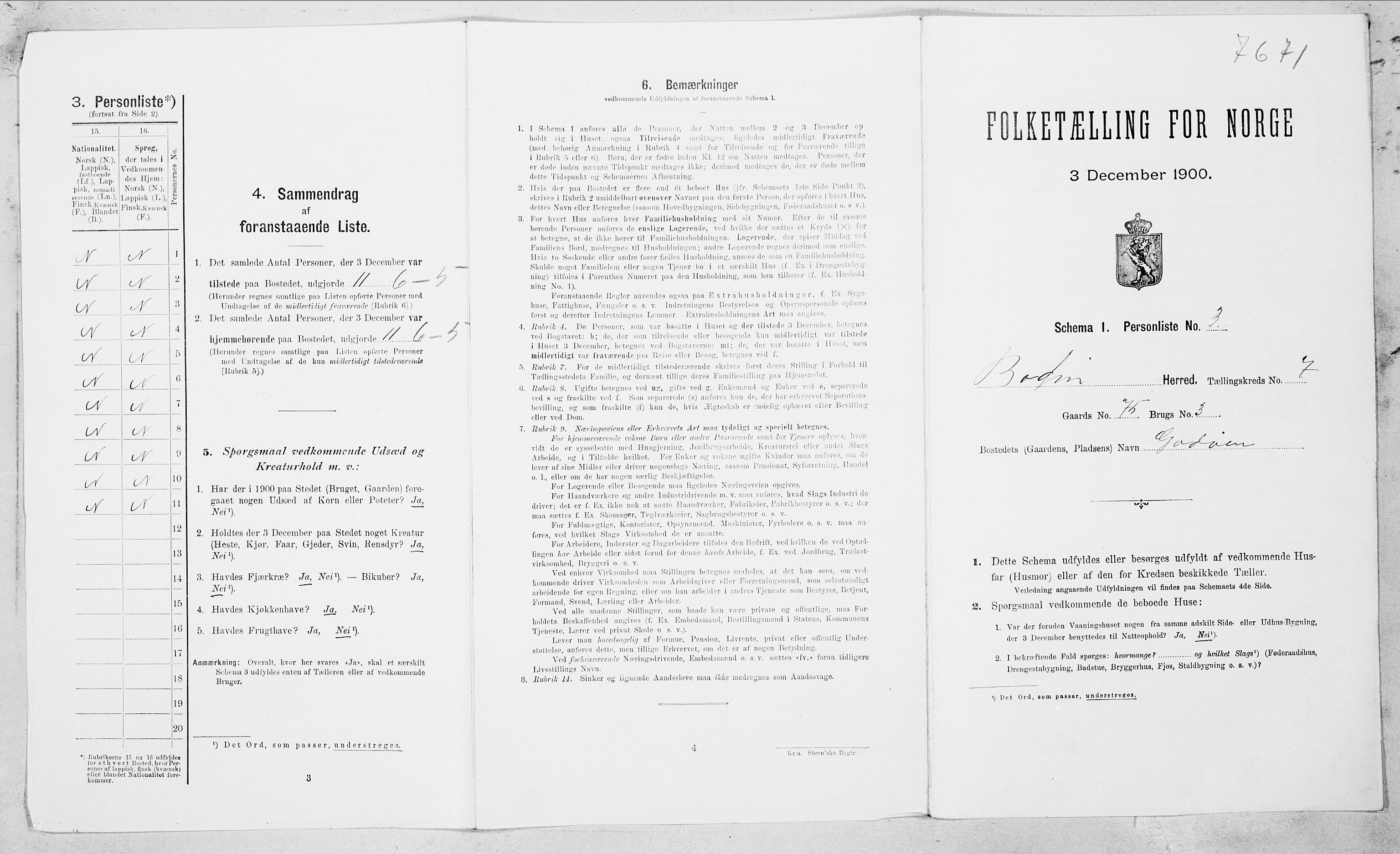 SAT, Folketelling 1900 for 1843 Bodin herred, 1900, s. 1020