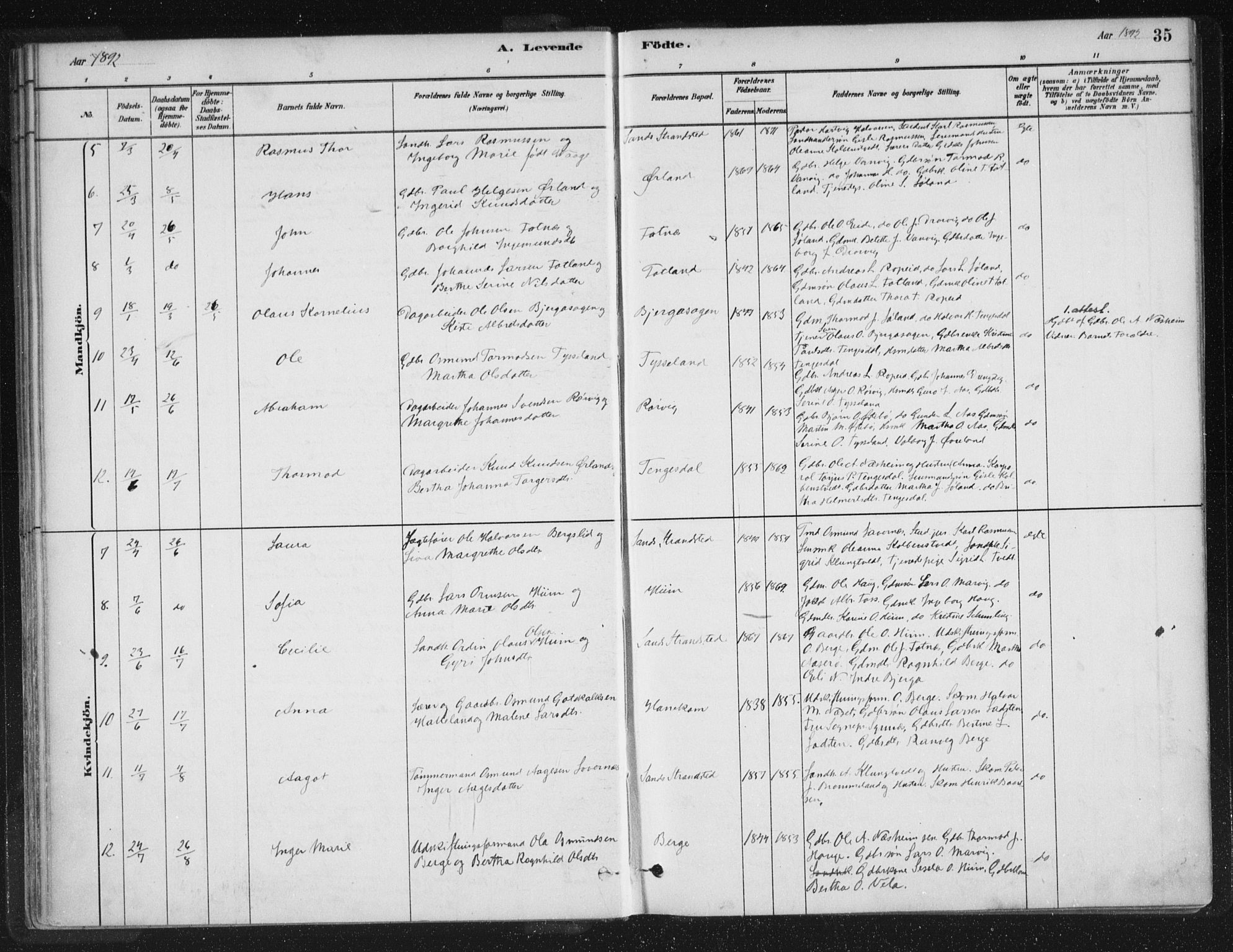 Sand sokneprestkontor, SAST/A-101848/01/III/L0005: Ministerialbok nr. A 5, 1880-1898, s. 35