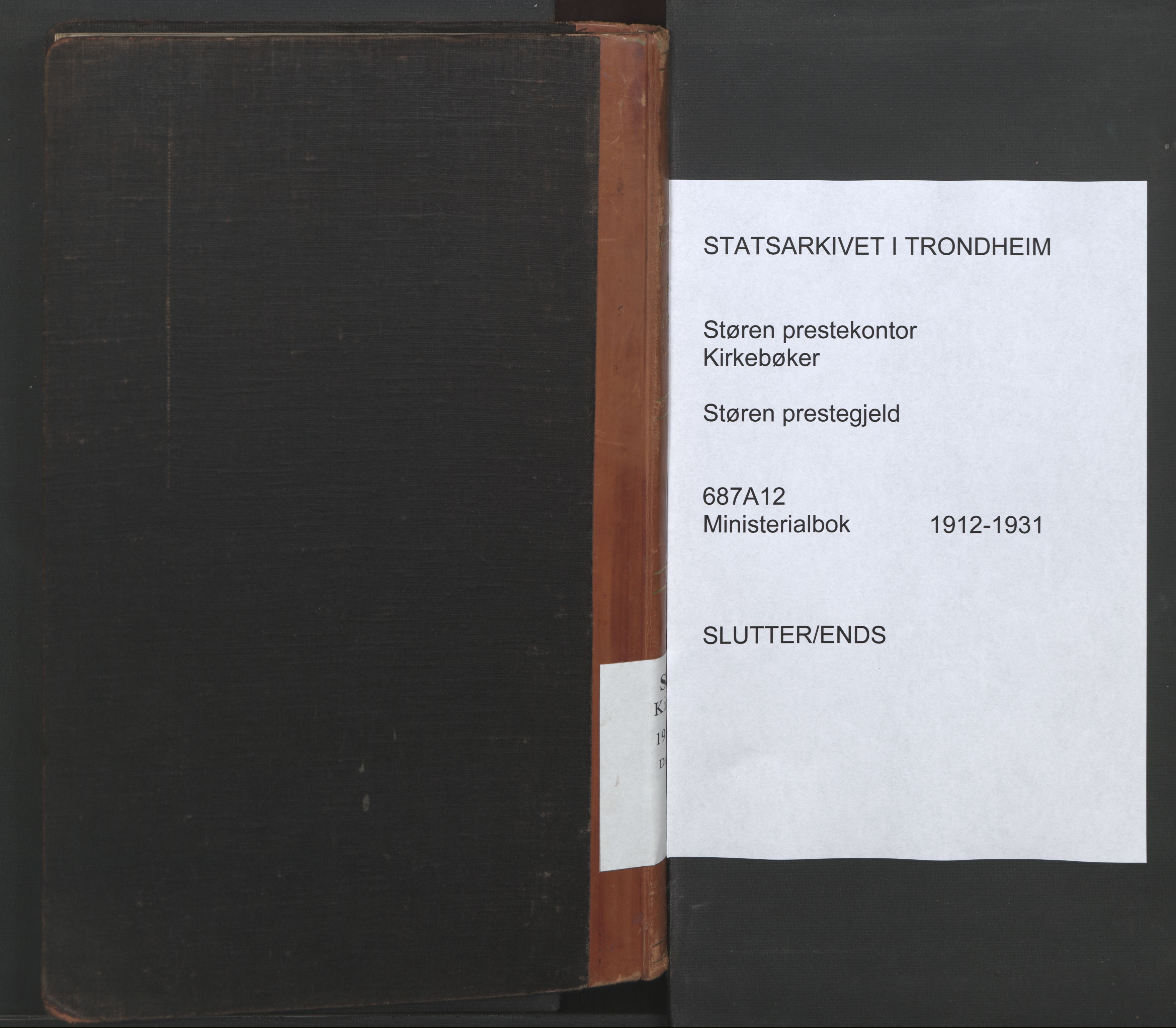 Ministerialprotokoller, klokkerbøker og fødselsregistre - Sør-Trøndelag, SAT/A-1456/687/L1006: Dagregister nr. 687A12, 1912-1931
